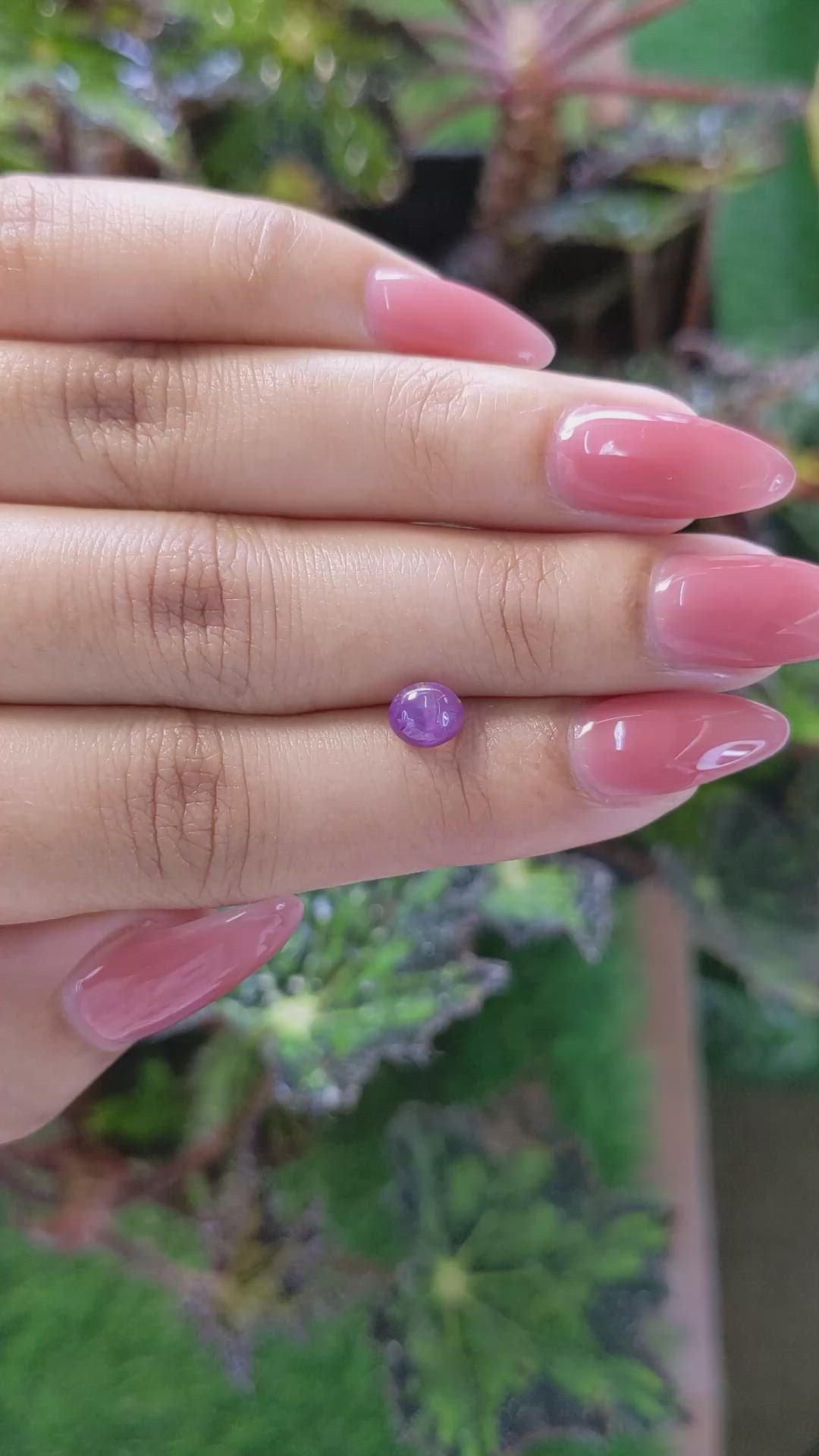 1.53 Ct. Pinkish Purple Star Sapphire from Ceylon (Sri Lanka) Size Video