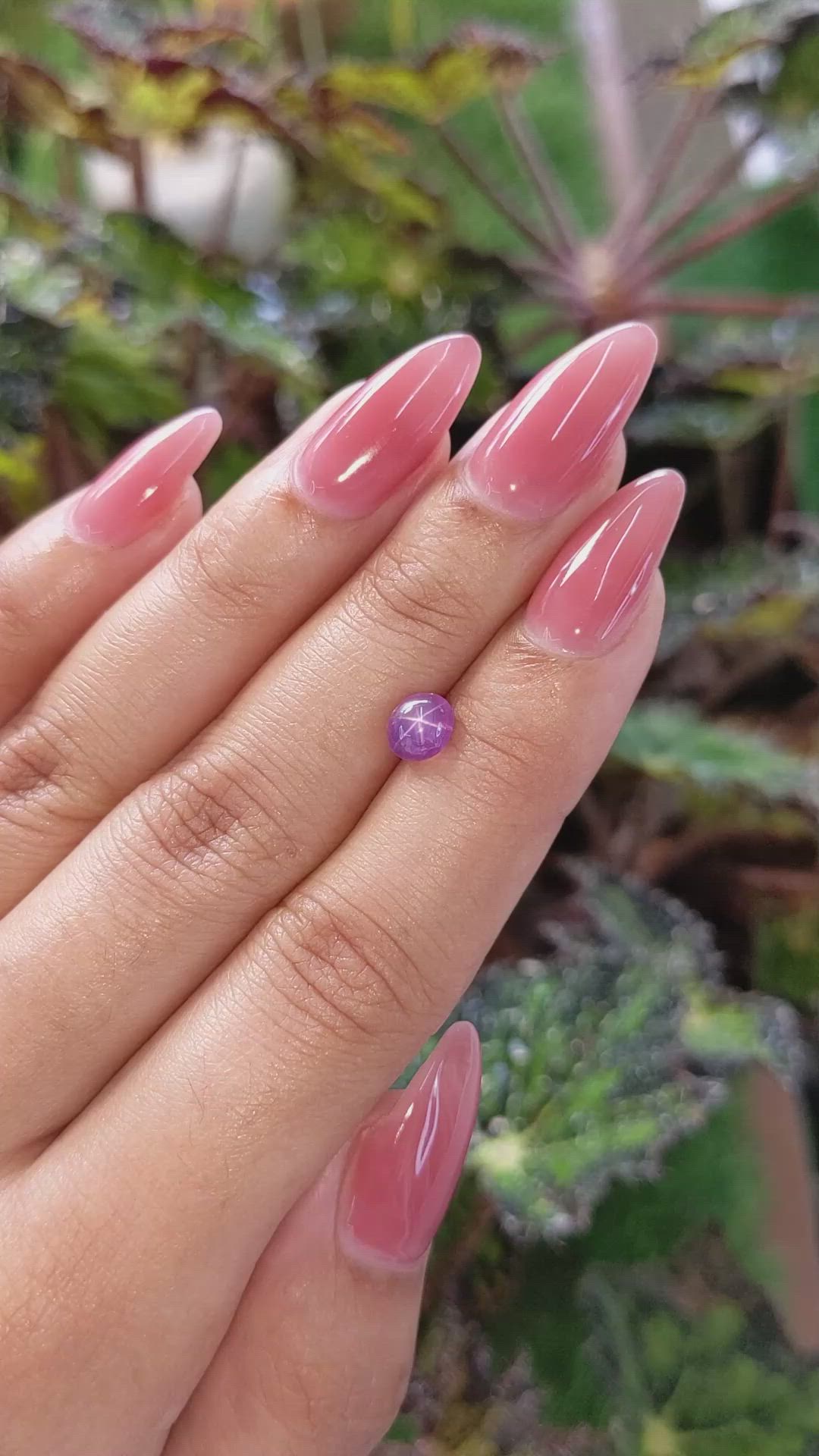 1.53 Ct. Pinkish Purple Star Sapphire from Ceylon (Sri Lanka) Size Video