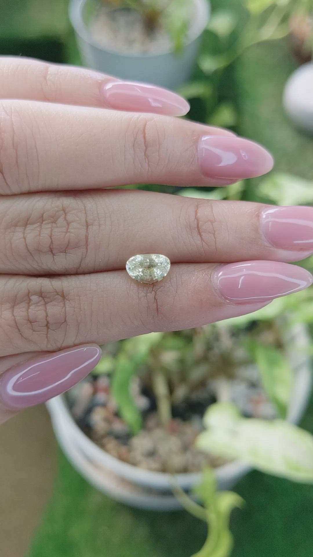 1.70 Ct. Yellow Sapphire from Ceylon (Sri Lanka) Size Video