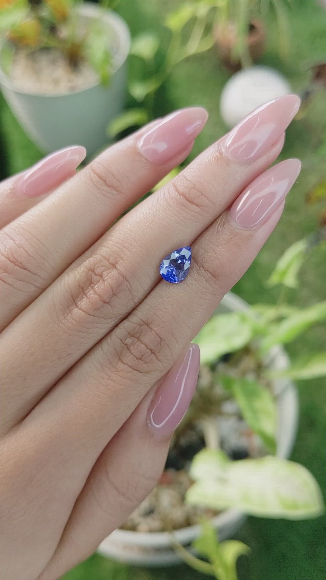 1.66 Ct. Blue Sapphire from Ceylon (Sri Lanka) Size Video