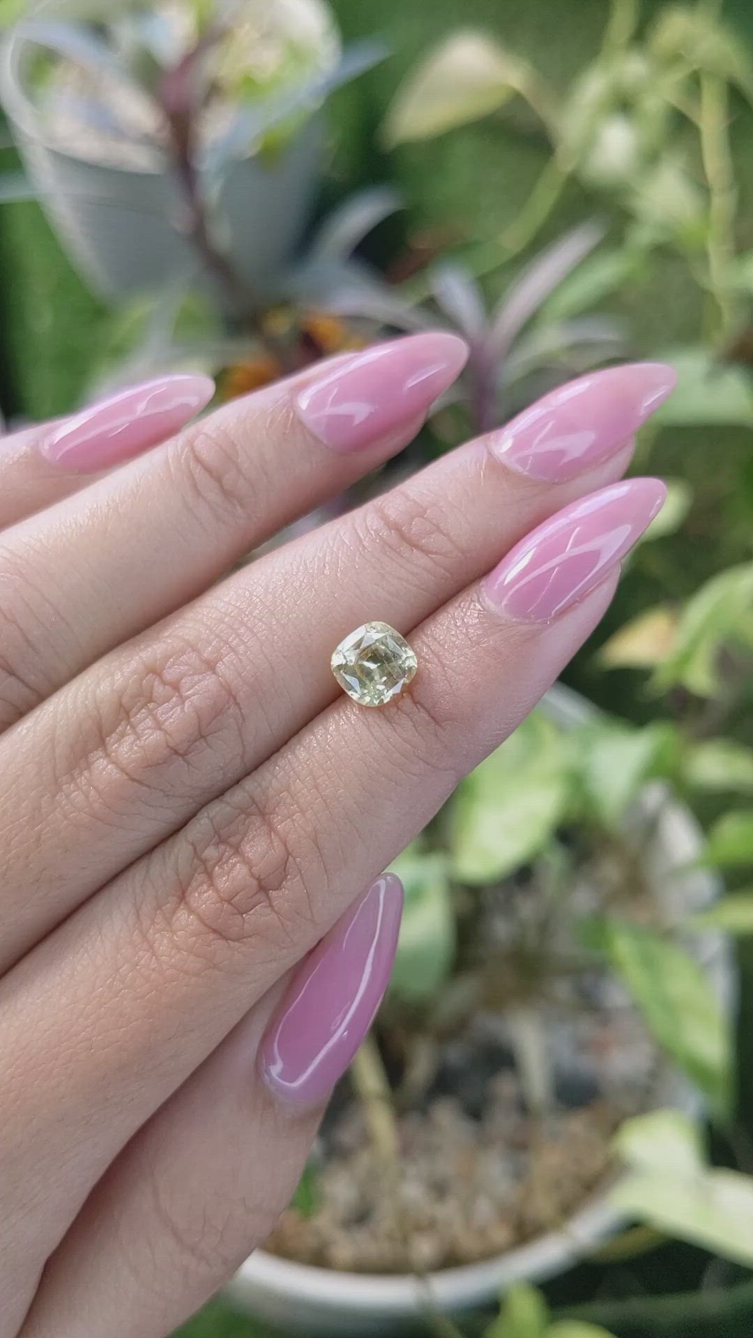 1.96 Ct. Yellow Sapphire from Ceylon (Sri Lanka) Size Video