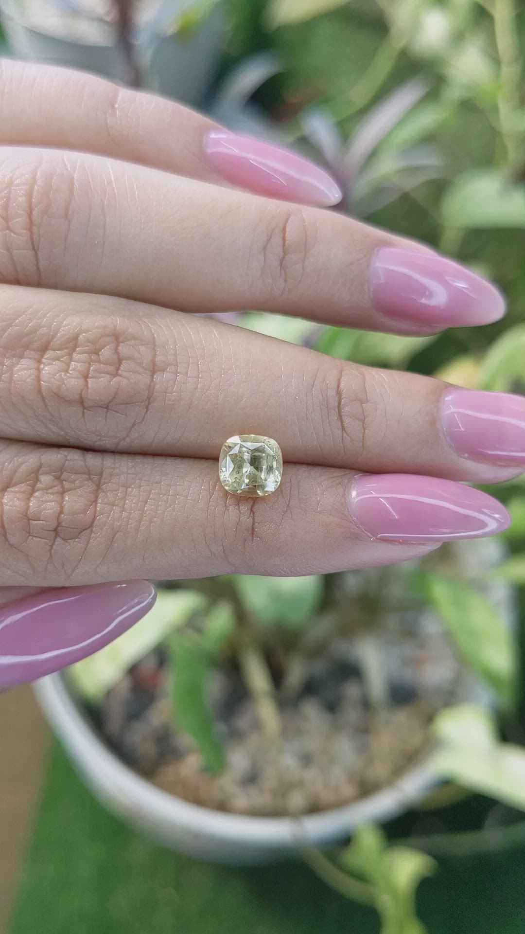 1.96 Ct. Yellow Sapphire from Ceylon (Sri Lanka) Size Video