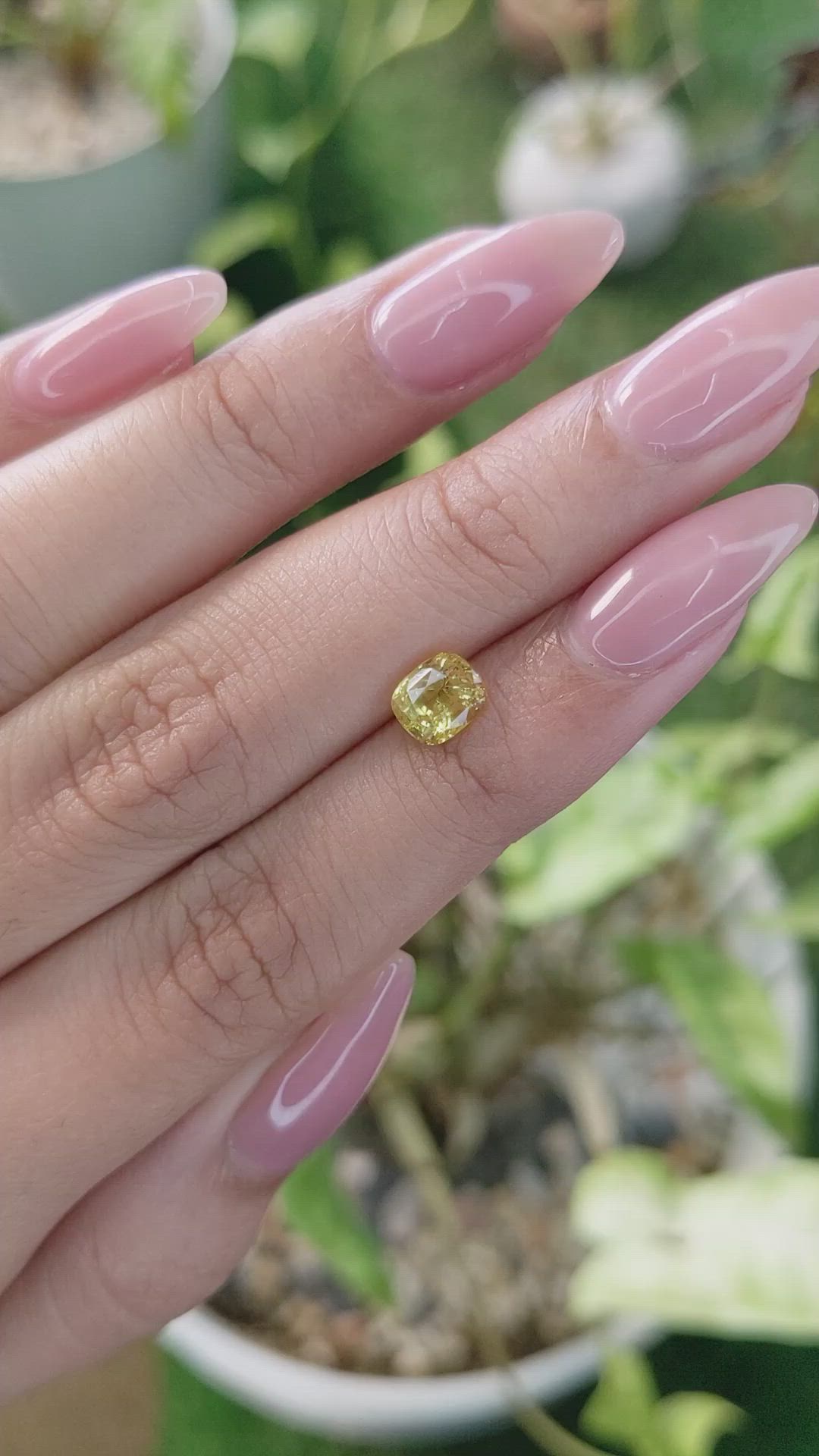 1.39 Ct. Yellow Sapphire from Ceylon (Sri Lanka) Size Video