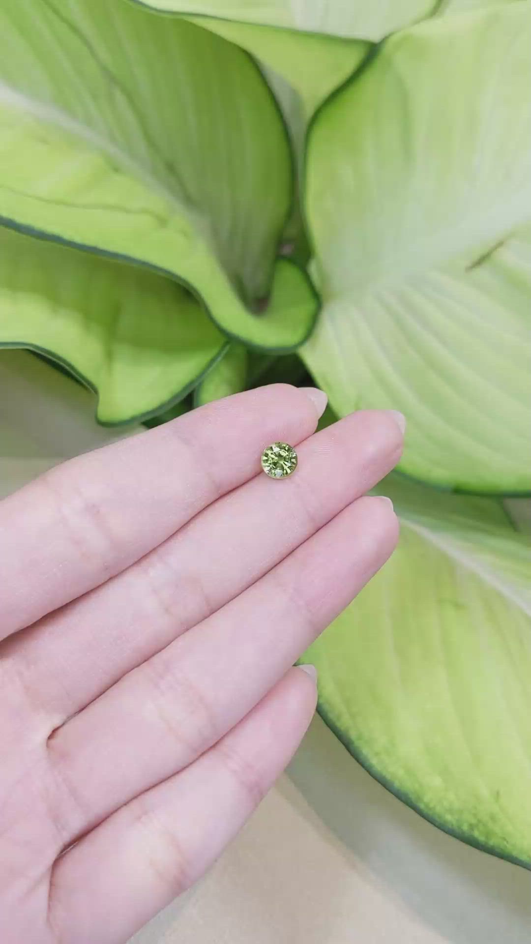 1.06 Ct. Yellowish Green Sapphire from Madagascar Size Video