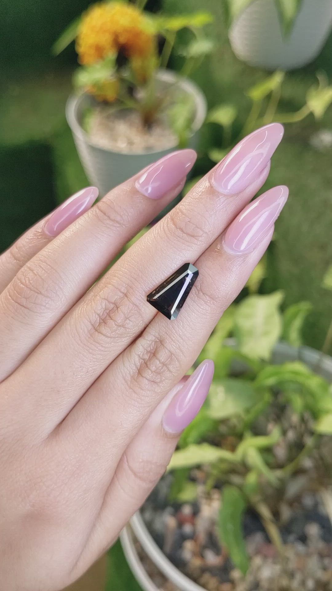 3.62 Ct. Brown Sapphire from Ceylon (Sri Lanka) Size Video