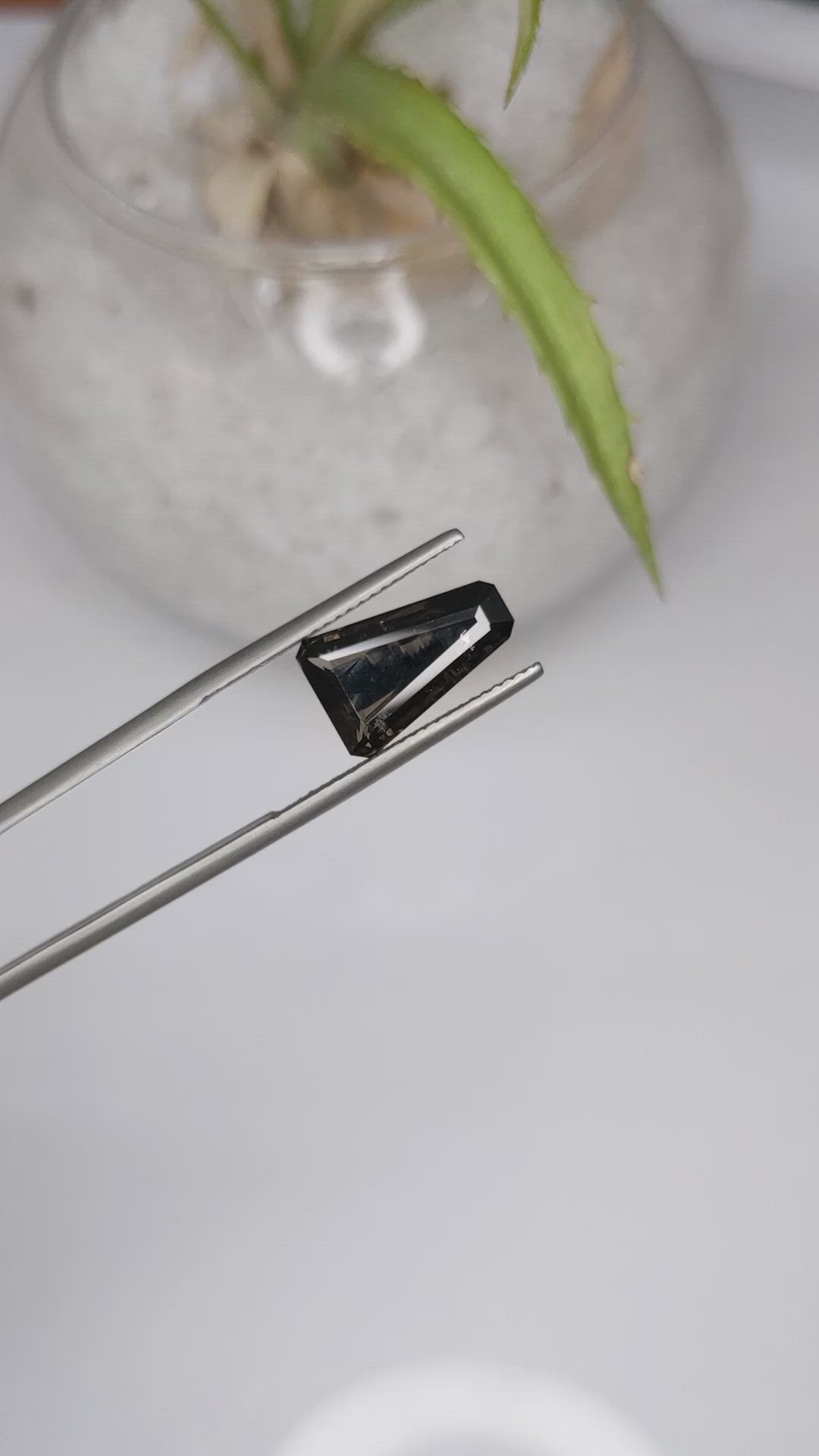 3.62 Ct. Brown Sapphire from Ceylon (Sri Lanka) Size Video