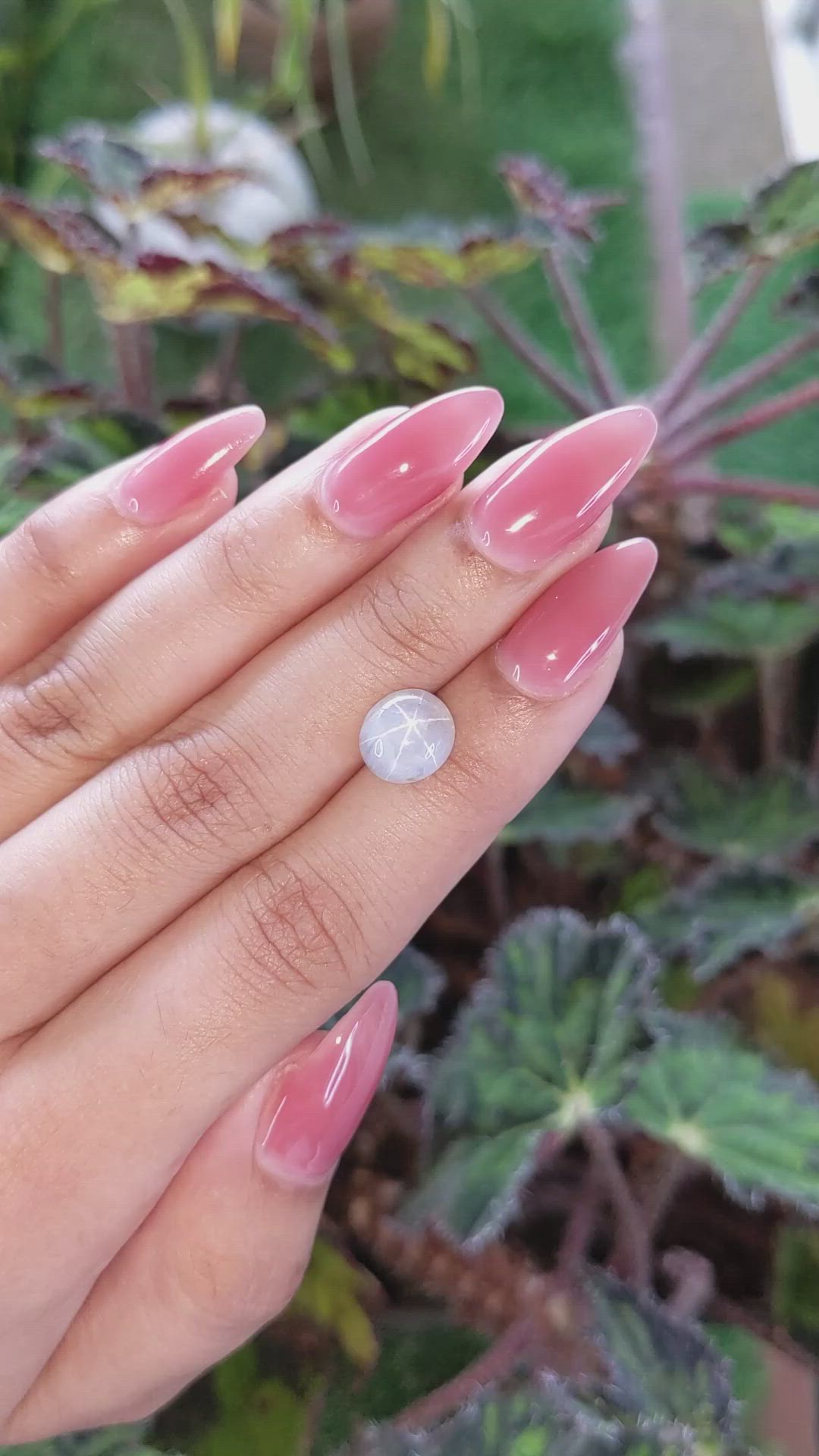 5.09 Ct. Grey Star Sapphire from Ceylon (Sri Lanka) Size Video