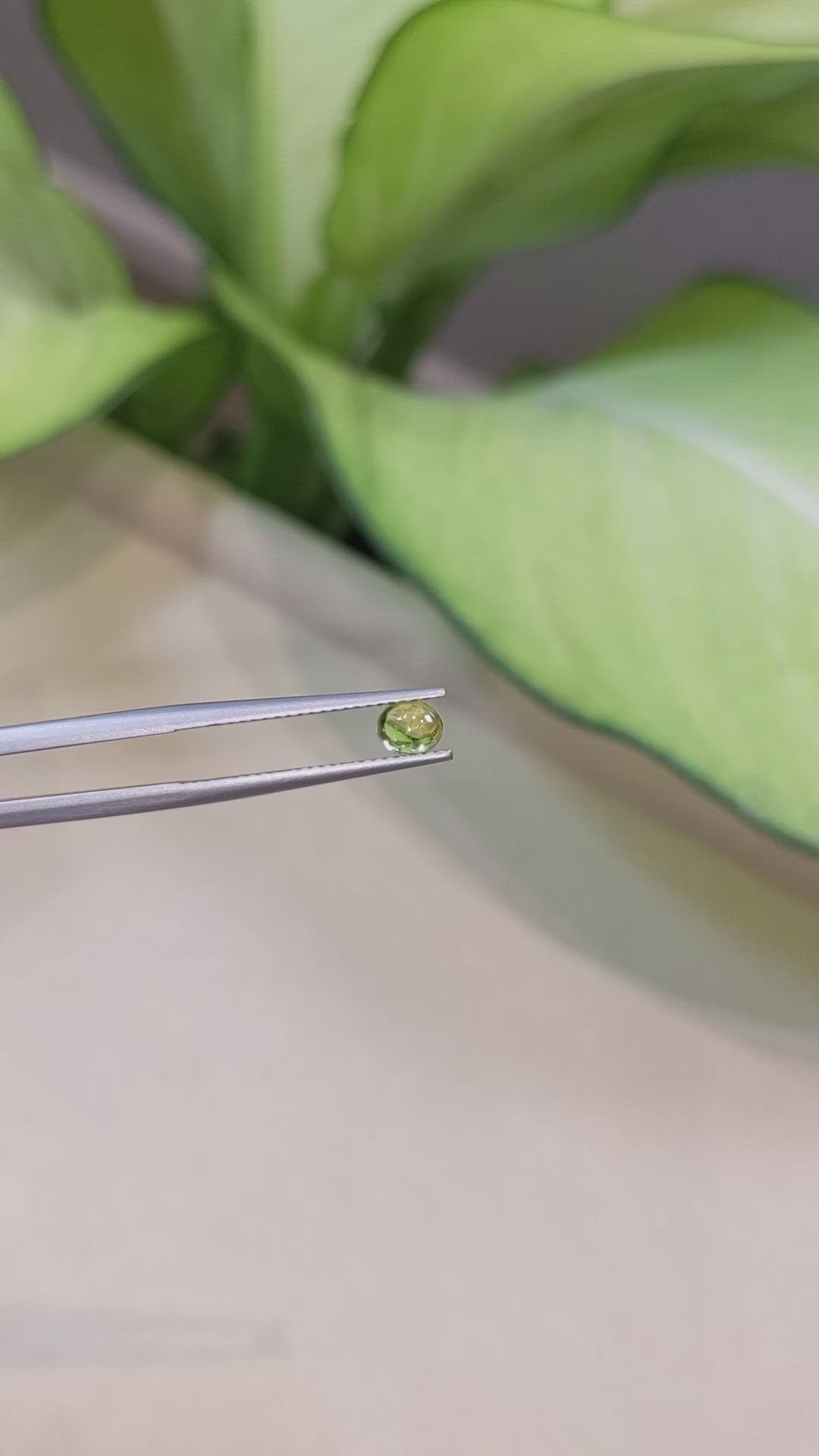 0.45 Ct. Greenish Yellow Cabochon Sapphire from Ceylon (Sri Lanka) Size Video