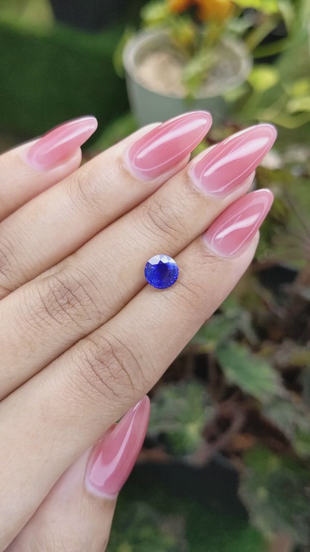 1.57 Ct. Blue Sapphire from Ceylon (Sri Lanka) Size Video