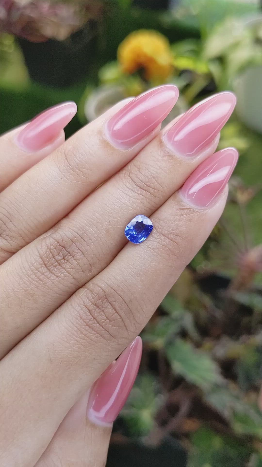 1.14 Ct. Blue Sapphire from Ceylon (Sri Lanka) Size Video