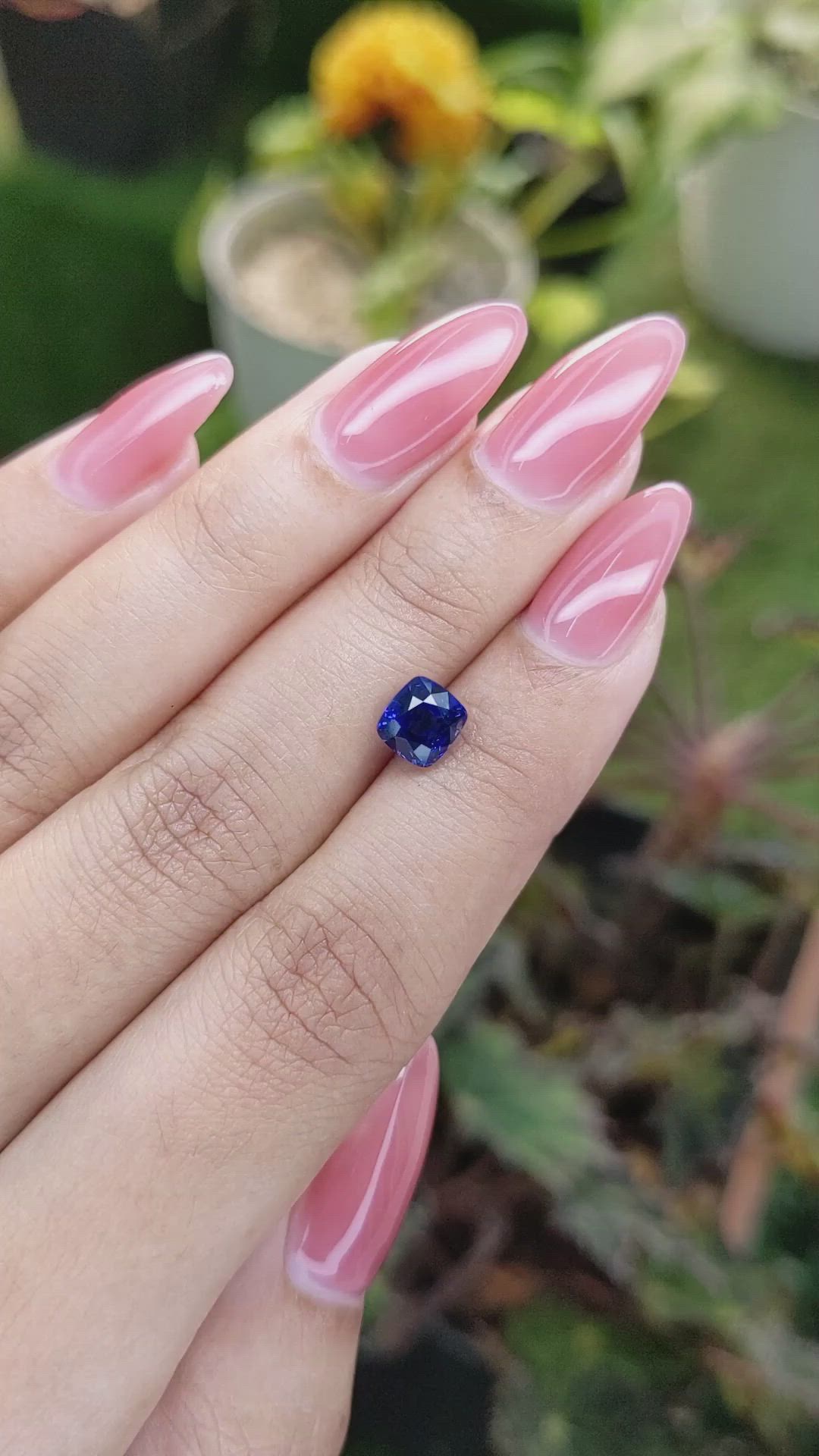1.86 Ct. Blue Sapphire from Ceylon (Sri Lanka) Size Video