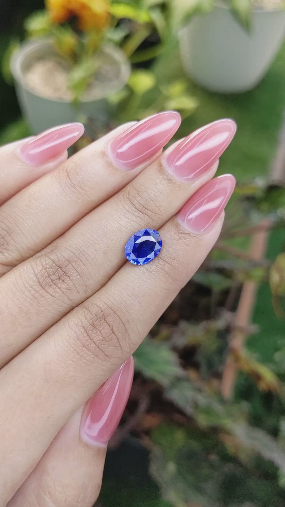 2.23 Ct. Blue Sapphire from Ceylon (Sri Lanka) Size Video