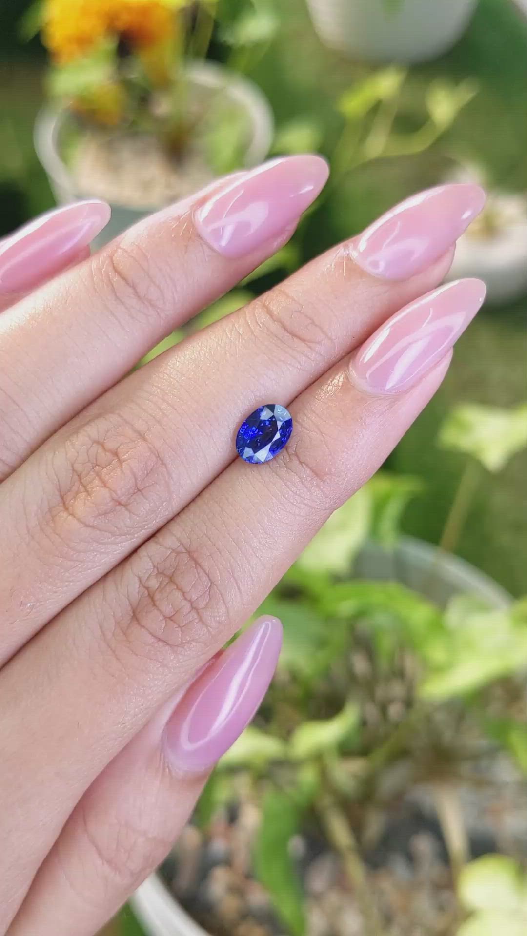1.33 Ct. Blue Sapphire from Ceylon (Sri Lanka) Size Video