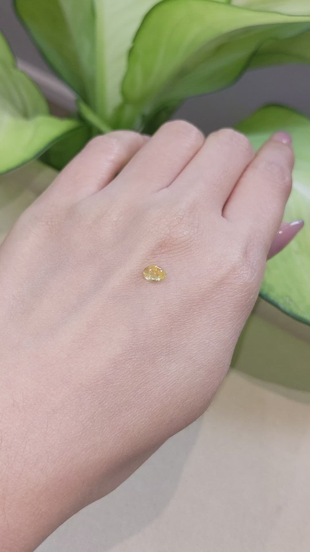 0.90 Ct. Yellow Cabochon Sapphire from Ceylon (Sri Lanka) Size Video