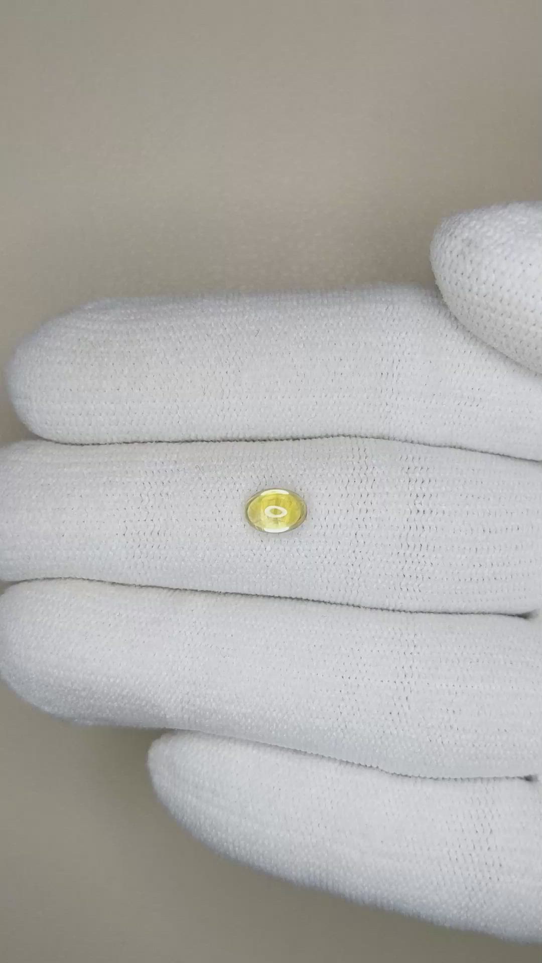 0.90 Ct. Yellow Cabochon Sapphire from Ceylon (Sri Lanka) Size Video