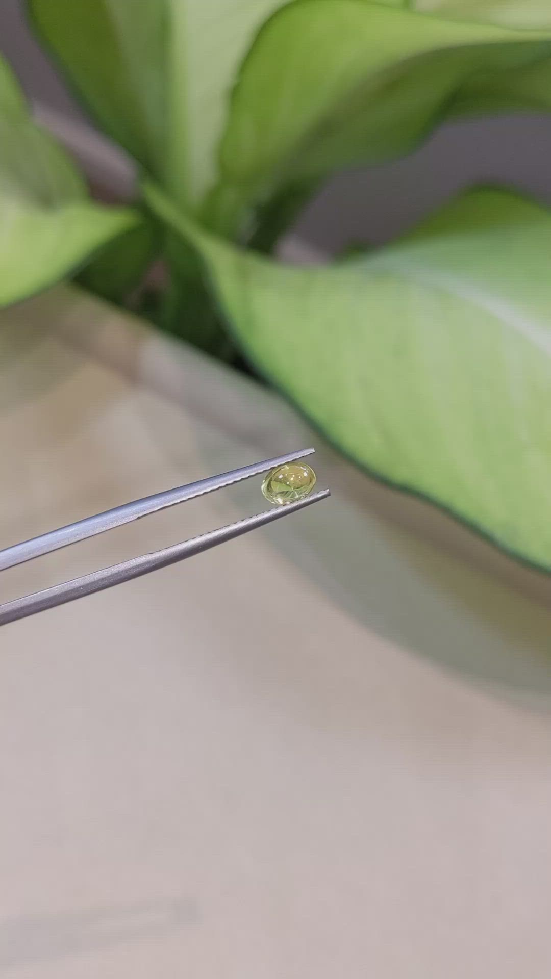 0.90 Ct. Yellow Cabochon Sapphire from Ceylon (Sri Lanka) Size Video