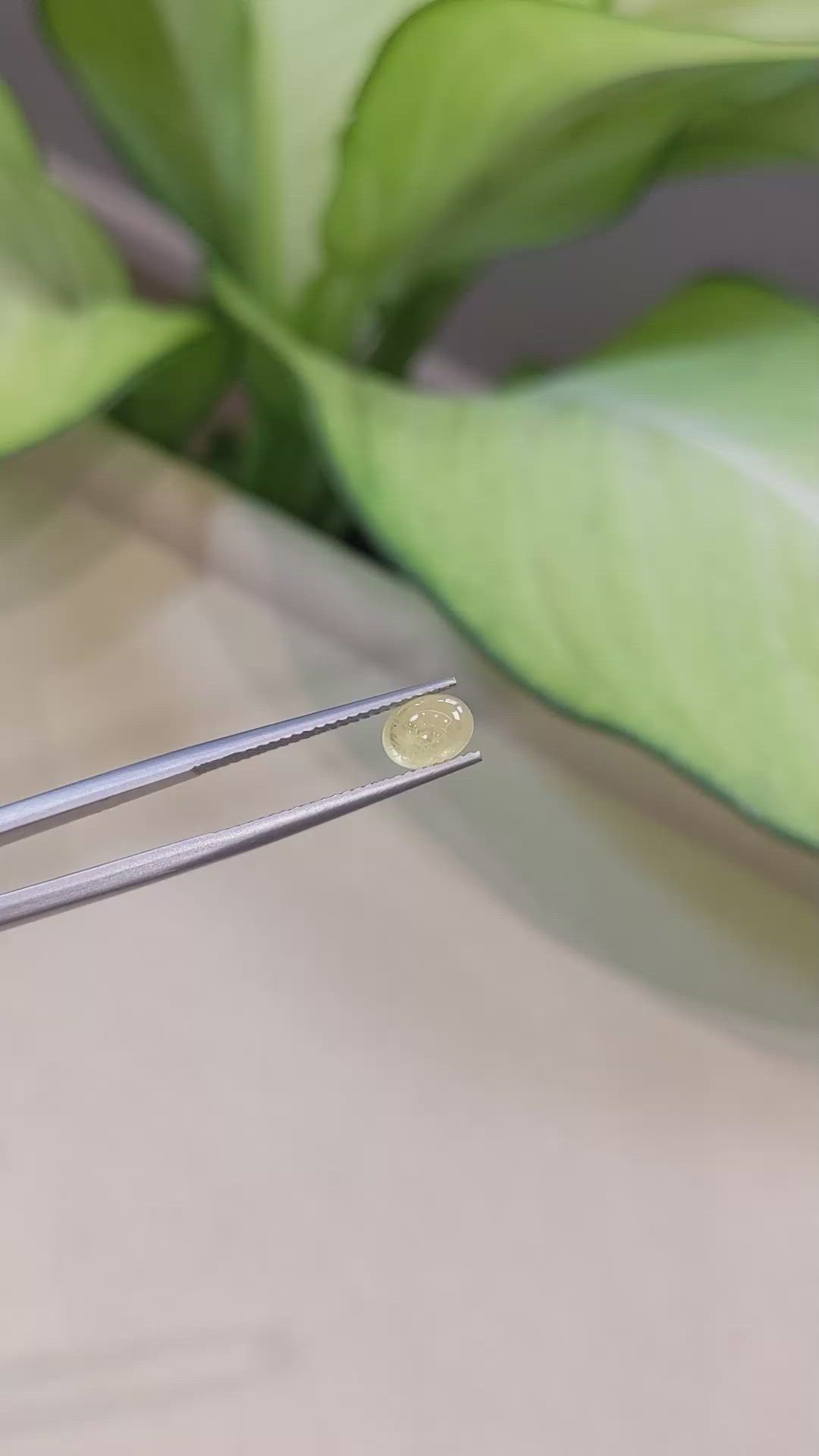 1.21 Ct. Yellow Cabochon Sapphire from Ceylon (Sri Lanka) Size Video