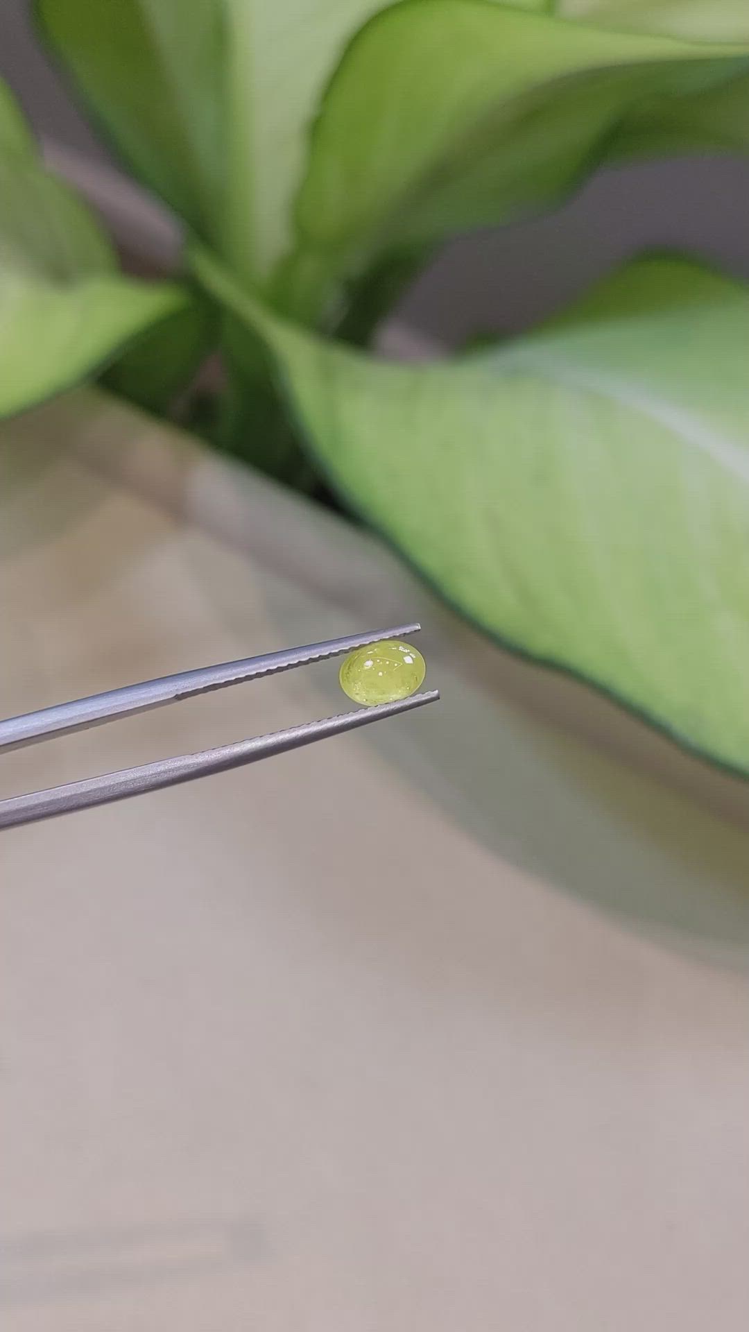 1.12 Ct. Yellow Cabochon Sapphire from Ceylon (Sri Lanka) Size Video