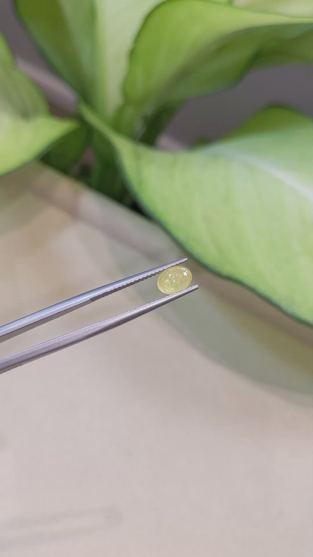 1.08 Ct. Yellow Cabochon Sapphire from Ceylon (Sri Lanka) Size Video