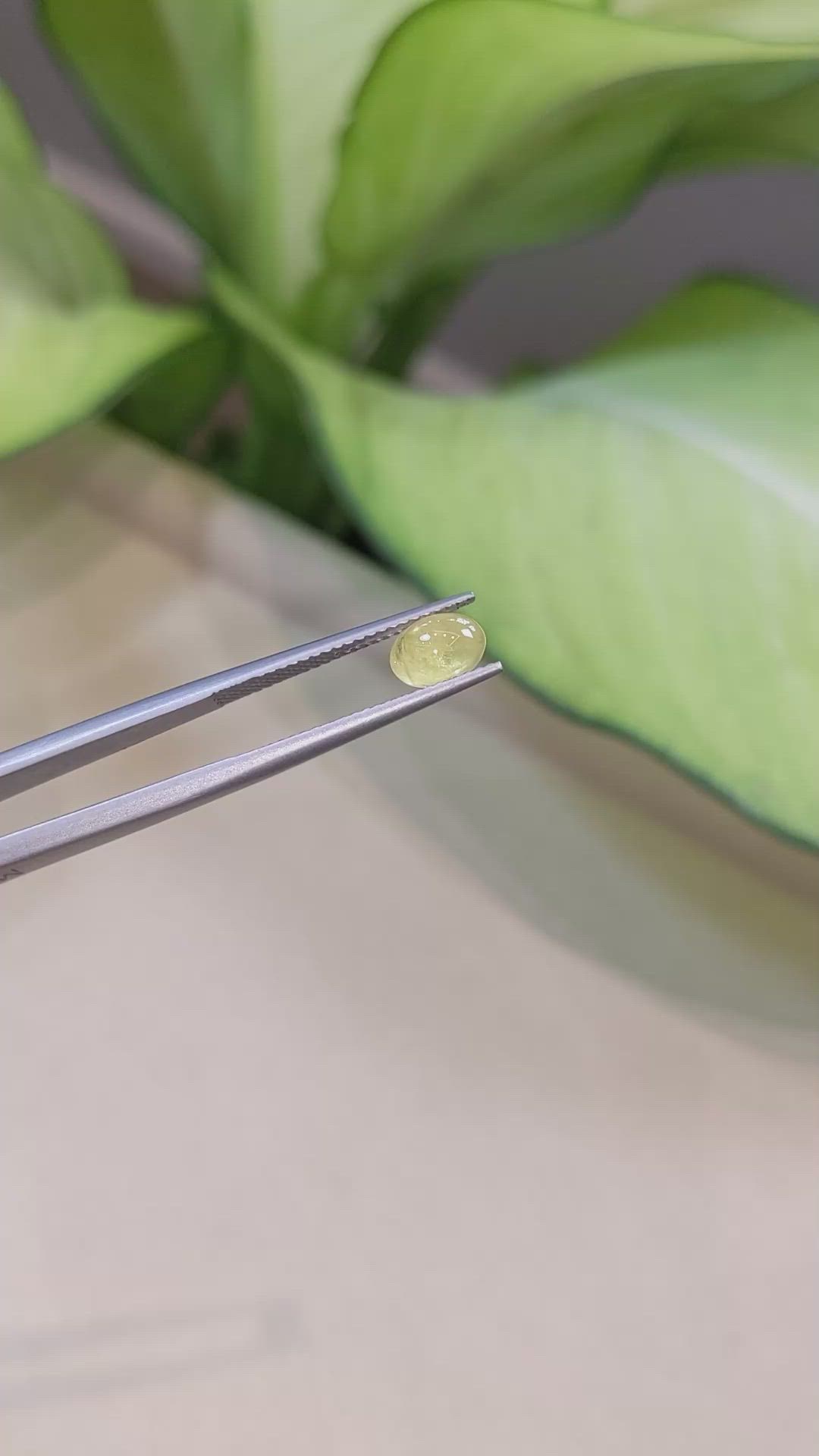 1.38 Ct. Yellow Cabochon Sapphire from Ceylon (Sri Lanka) Size Video