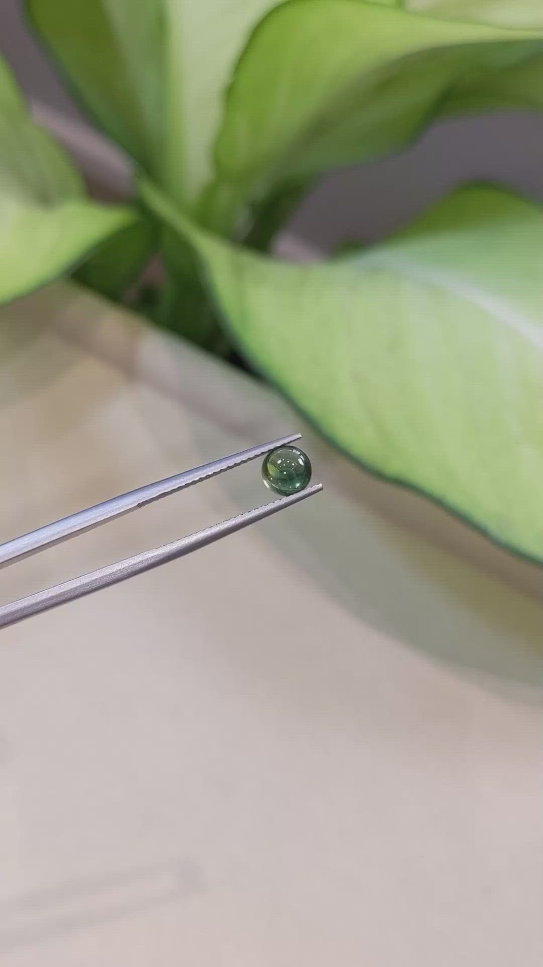 1.15 Ct. Green Cabochon Sapphire from Ceylon (Sri Lanka) Size Video