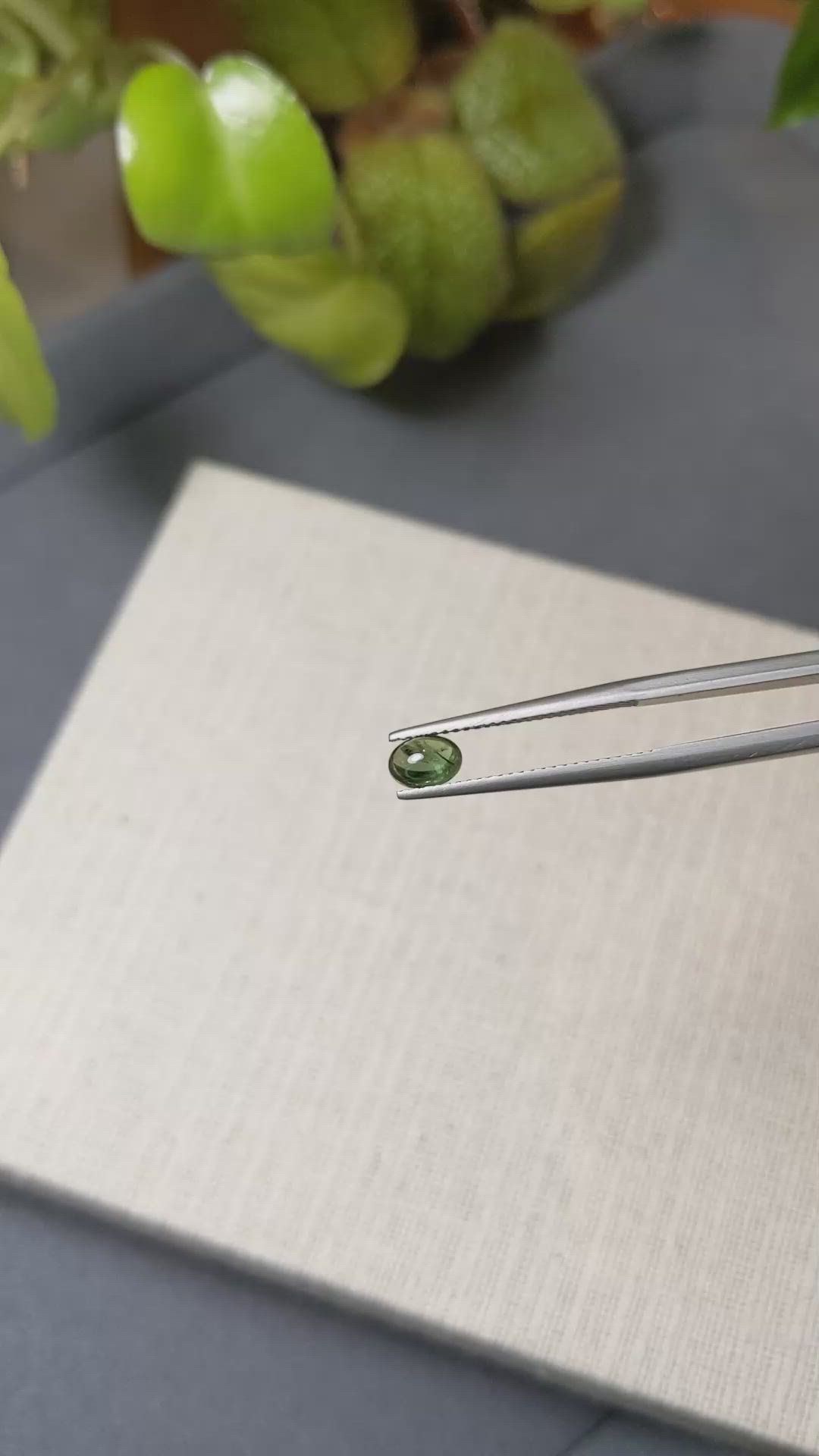 0.67 Ct. Green Cabochon Sapphire from Ceylon (Sri Lanka) Size Video