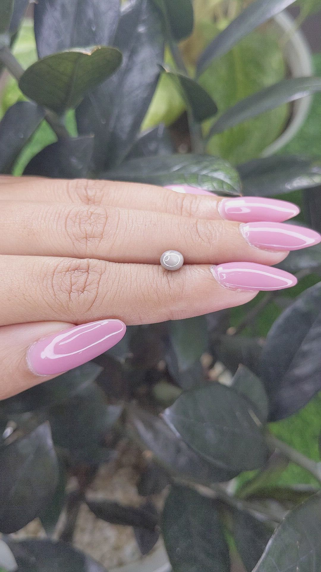 1.10 Ct. Grey Star Sapphire from Ceylon (Sri Lanka) Size Video