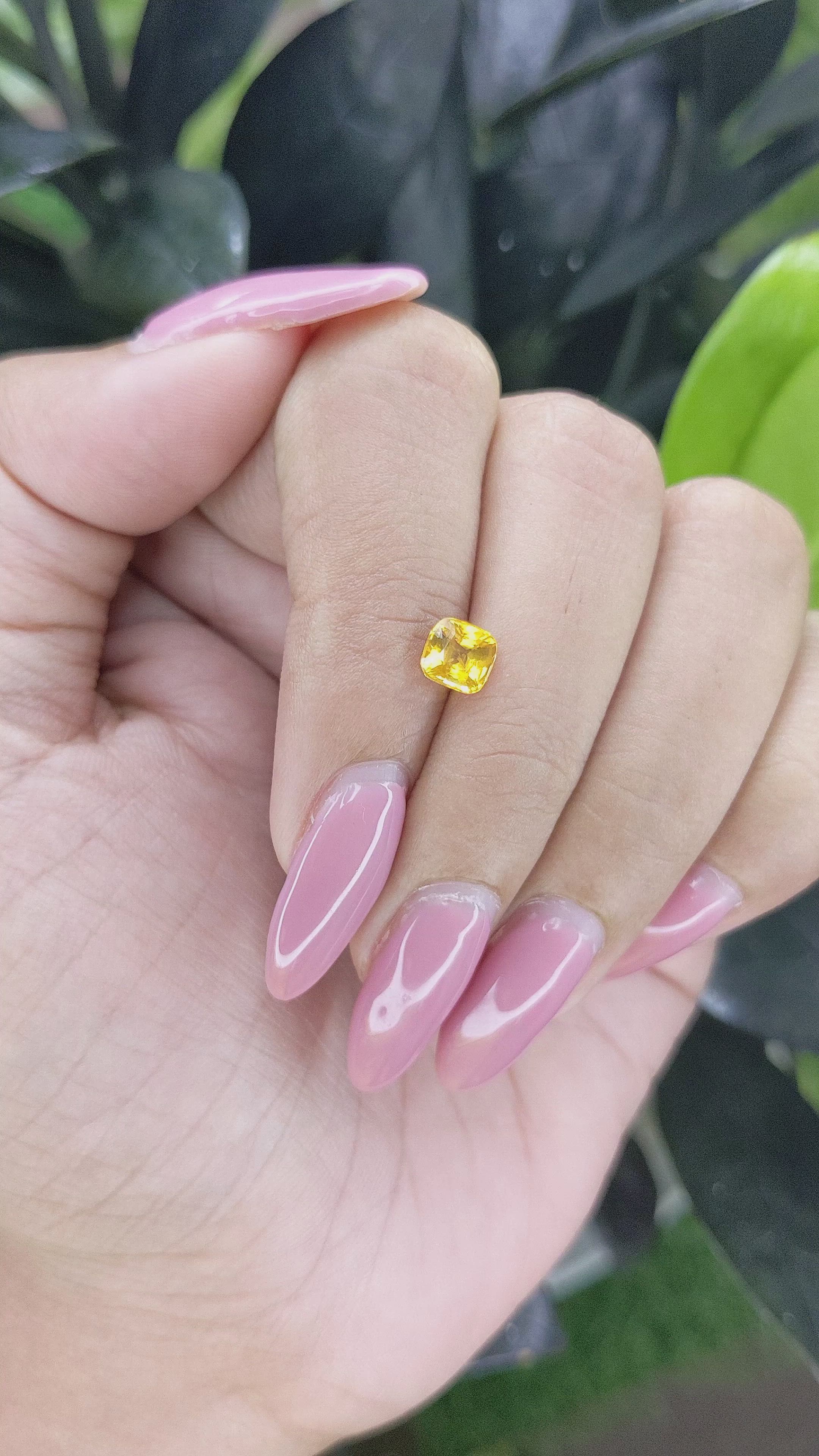 1.00 Ct. Yellow Sapphire from Ceylon (Sri Lanka) Size Video