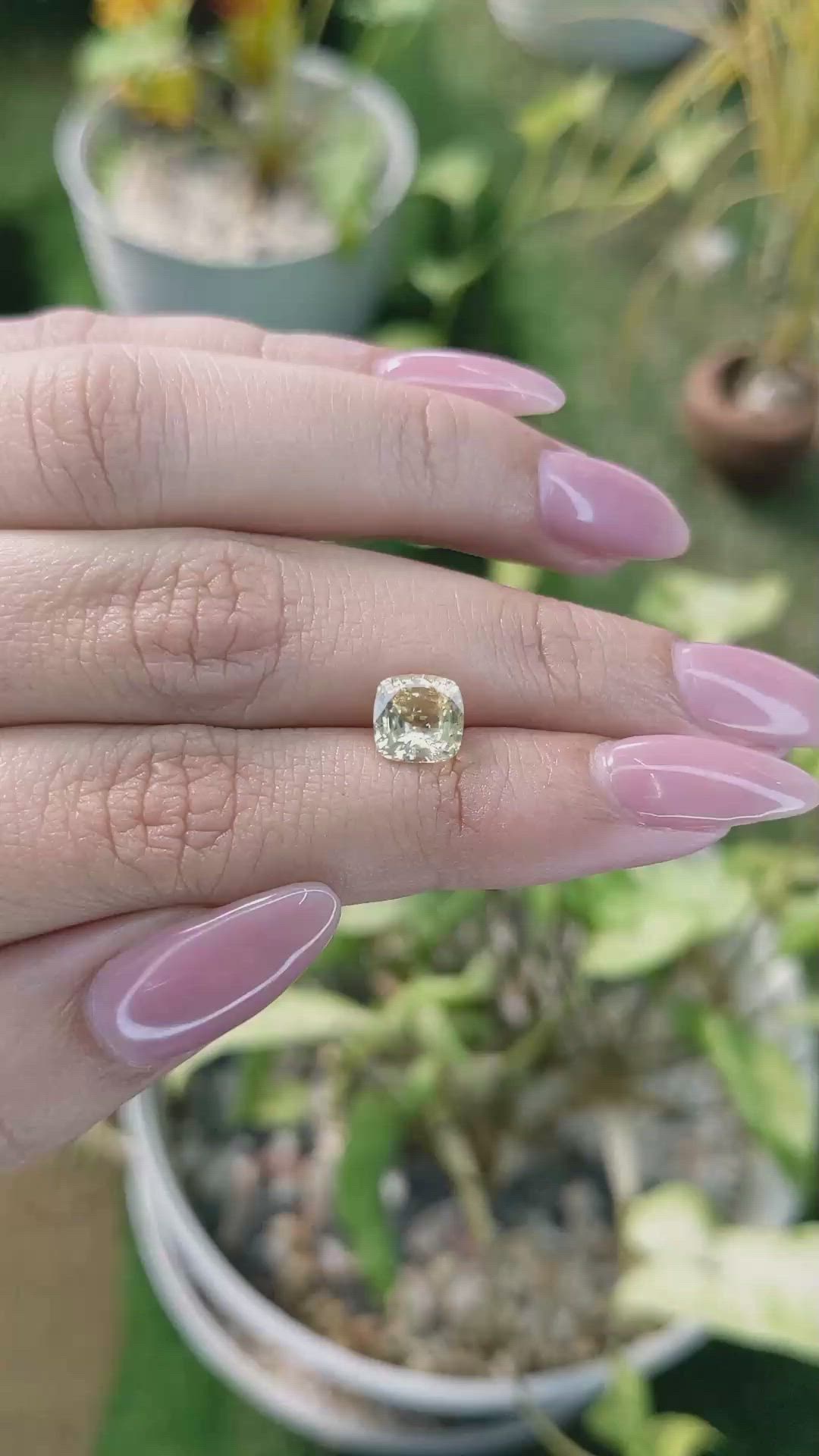 2.02 Ct. Yellow Sapphire from Ceylon (Sri Lanka) Size Video