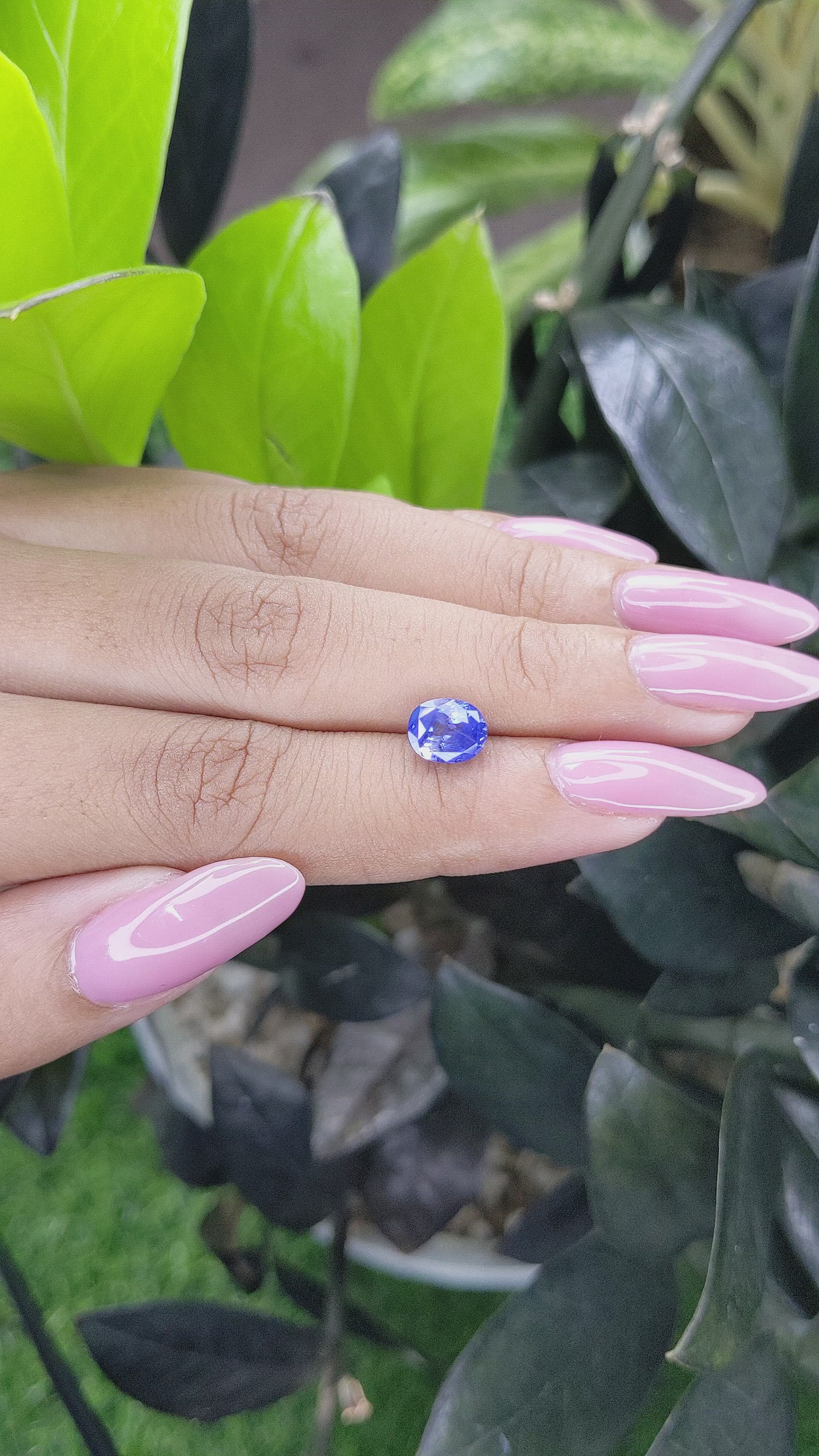 1.92 Ct. Bi Color / Parti Sapphire from Tanzania Size Video