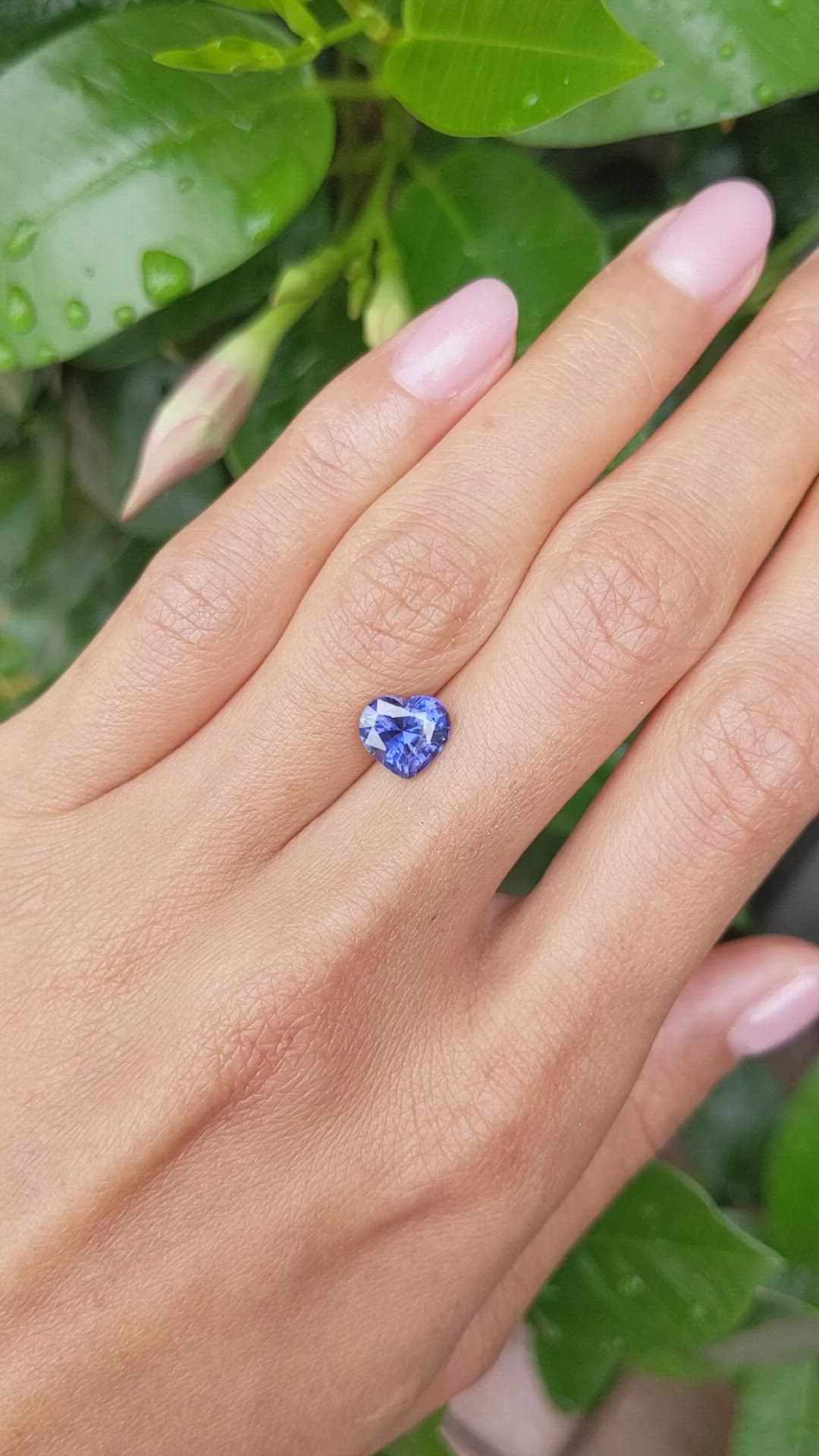 2.14 Ct. Purple Sapphire from Ceylon (Sri Lanka) Size Video