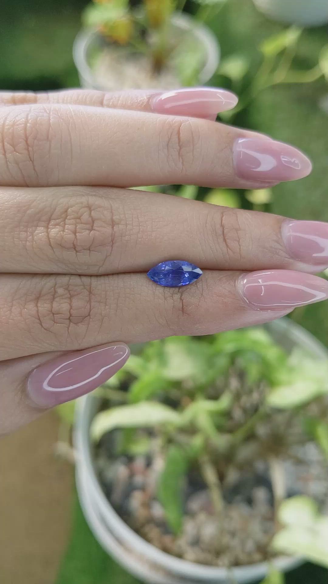 1.78 Ct. Blue Sapphire from Ceylon (Sri Lanka) Size Video