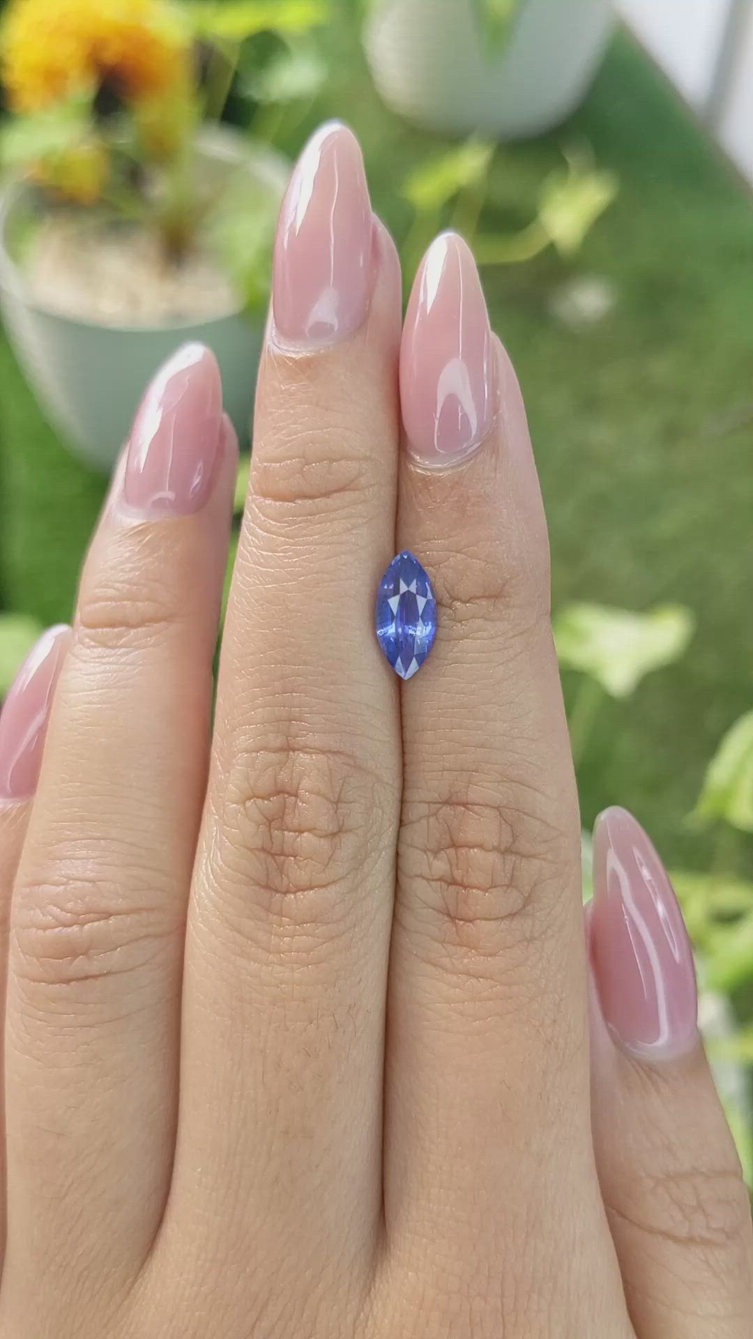 1.78 Ct. Blue Sapphire from Ceylon (Sri Lanka) Size Video