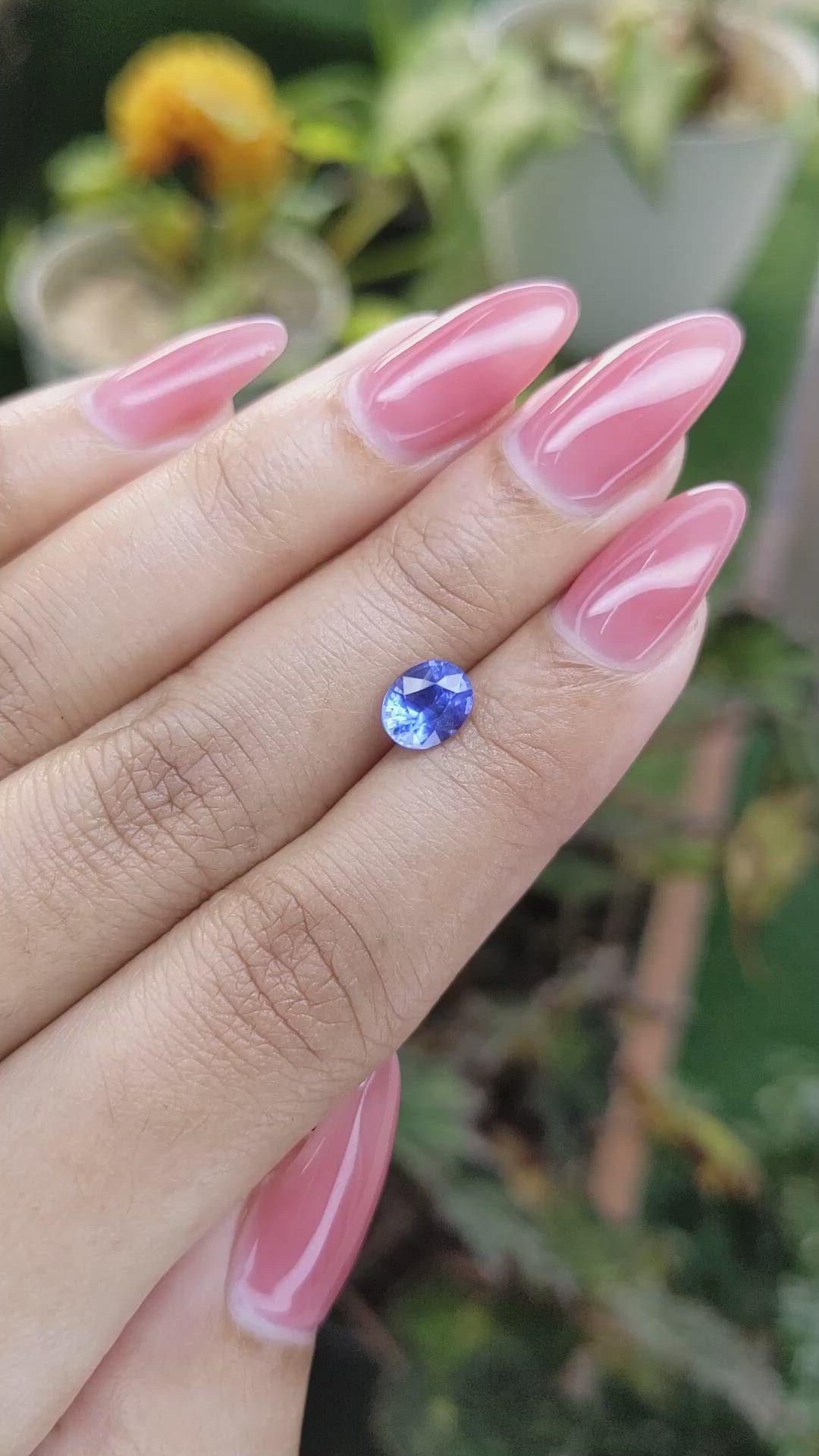 1.37 Ct. Blue Sapphire from Ceylon (Sri Lanka) Size Video