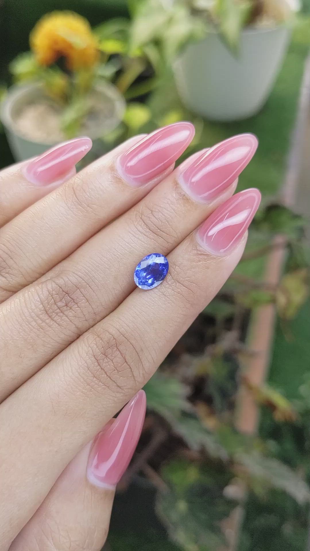 1.79 Ct. Blue Sapphire from Ceylon (Sri Lanka) Size Video