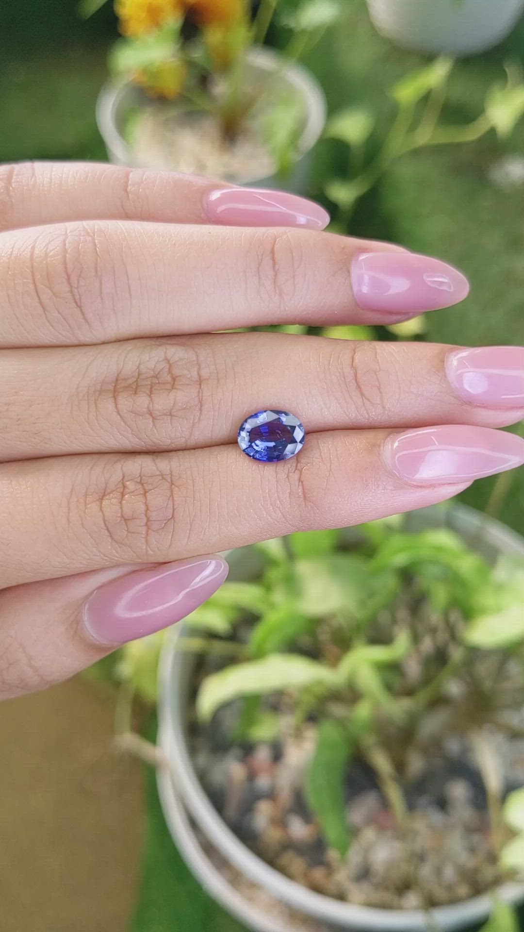1.84 Ct. Blue Sapphire from Ceylon (Sri Lanka) Size Video