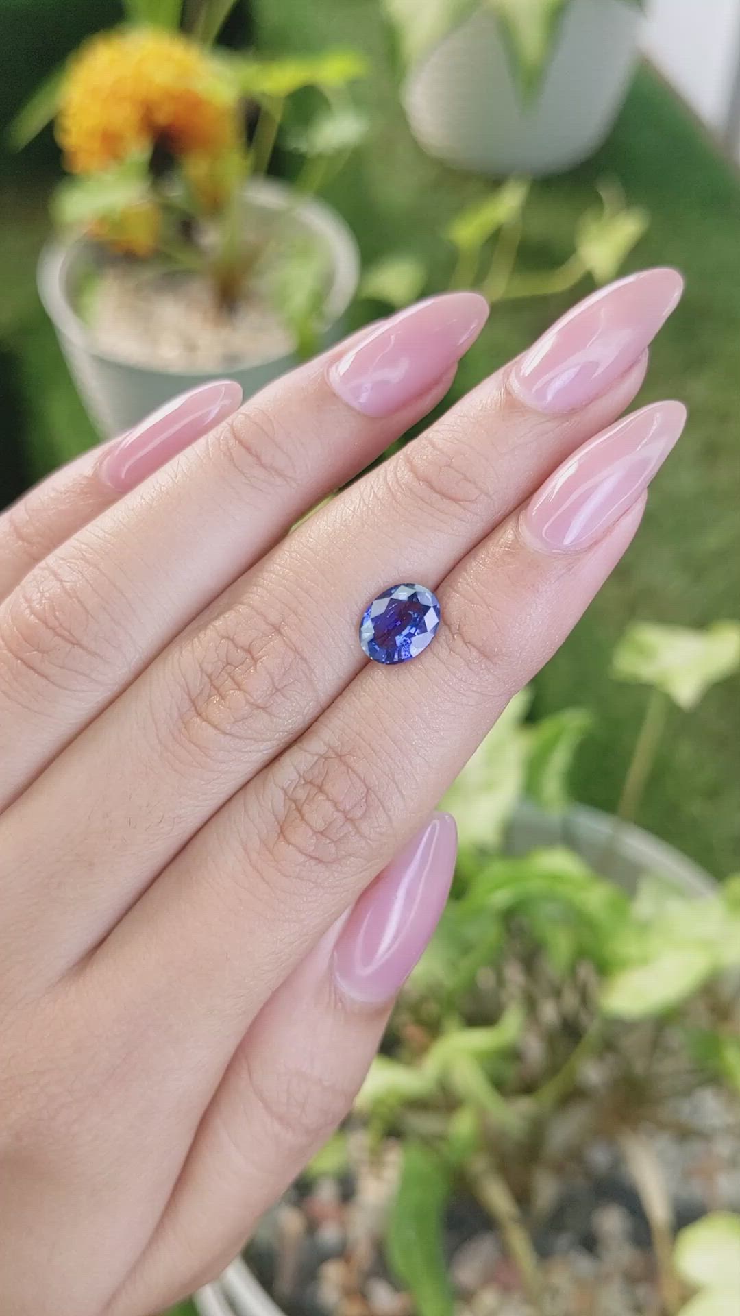 1.84 Ct. Blue Sapphire from Ceylon (Sri Lanka) Size Video