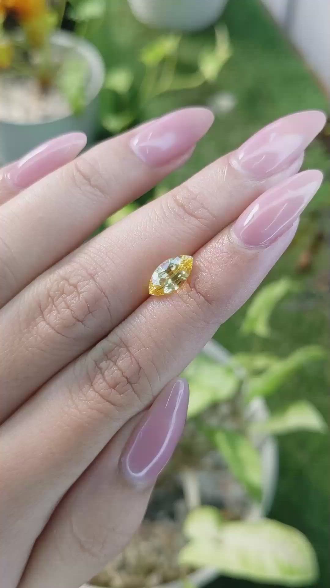 1.82 Ct. Yellow Sapphire from Ceylon (Sri Lanka) Size Video