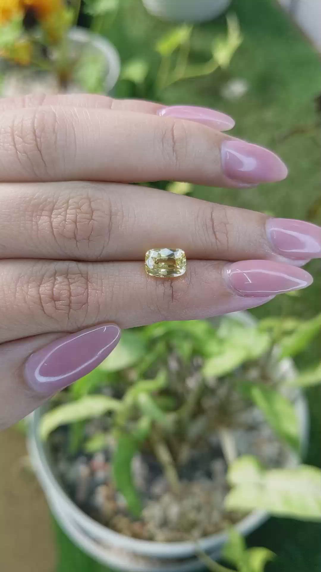 2.54 Ct. Yellow Sapphire from Ceylon (Sri Lanka) Size Video