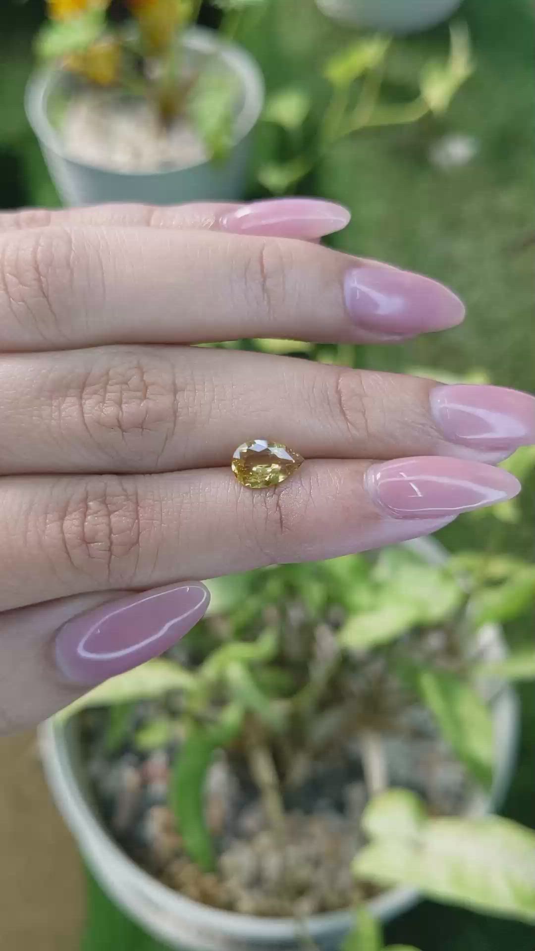 1.17 Ct. Orangish Yellow Sapphire from Ceylon (Sri Lanka) Size Video