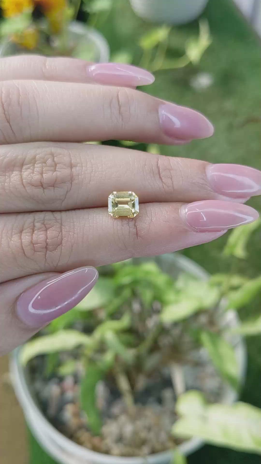 1.60 Ct. Yellow Sapphire from Ceylon (Sri Lanka) Size Video