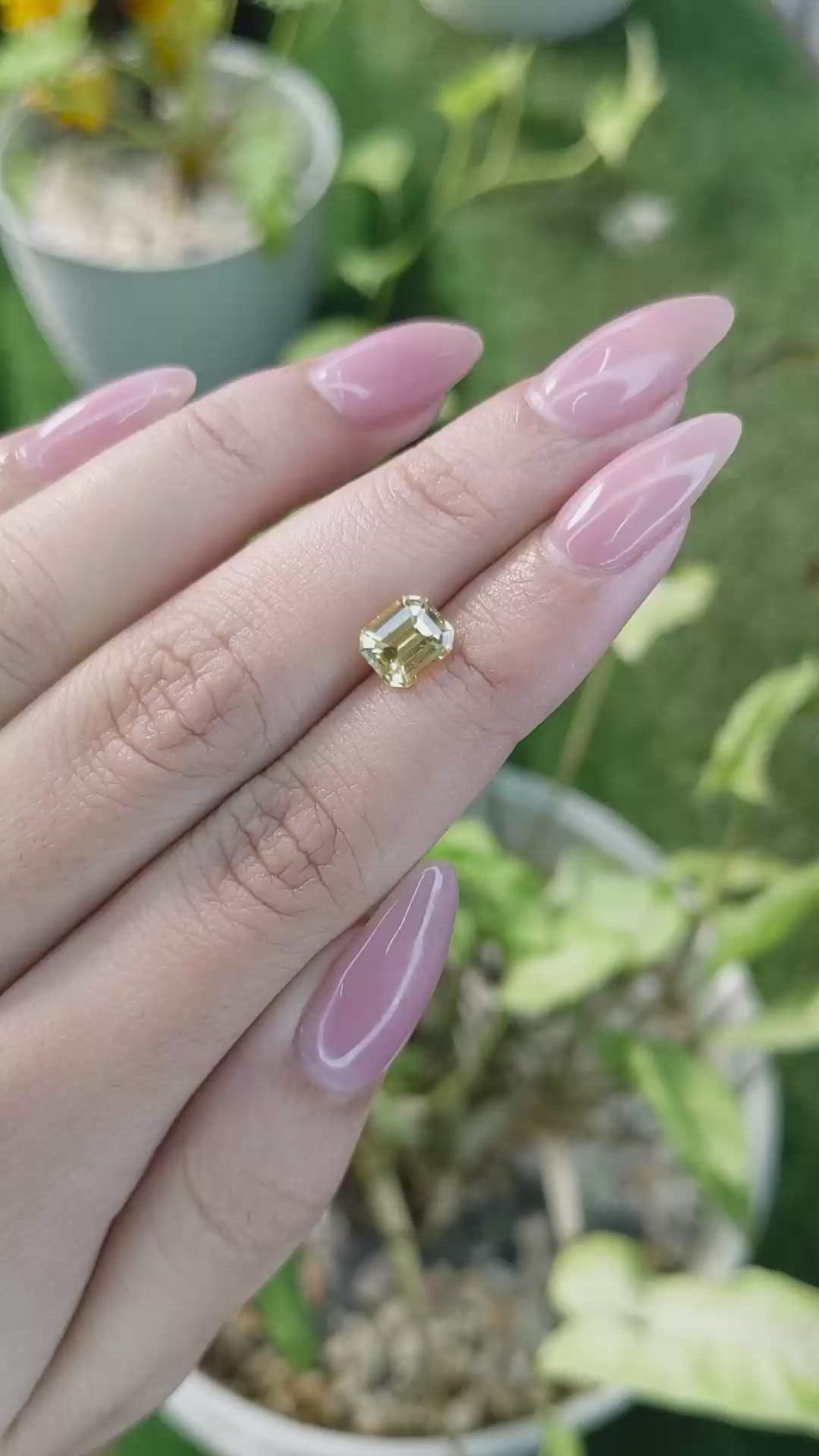 1.60 Ct. Yellow Sapphire from Ceylon (Sri Lanka) Size Video