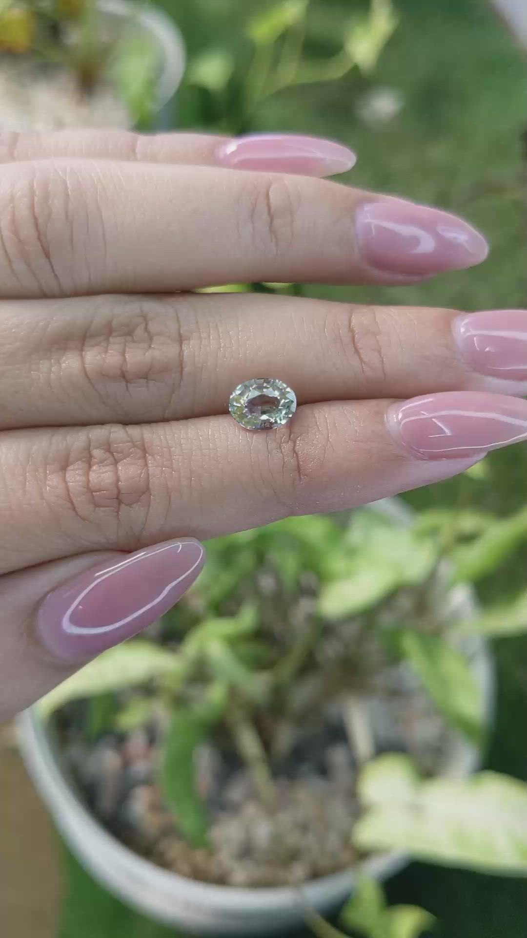 1.74 Ct. Greenish Yellow Sapphire from Ceylon (Sri Lanka) Size Video