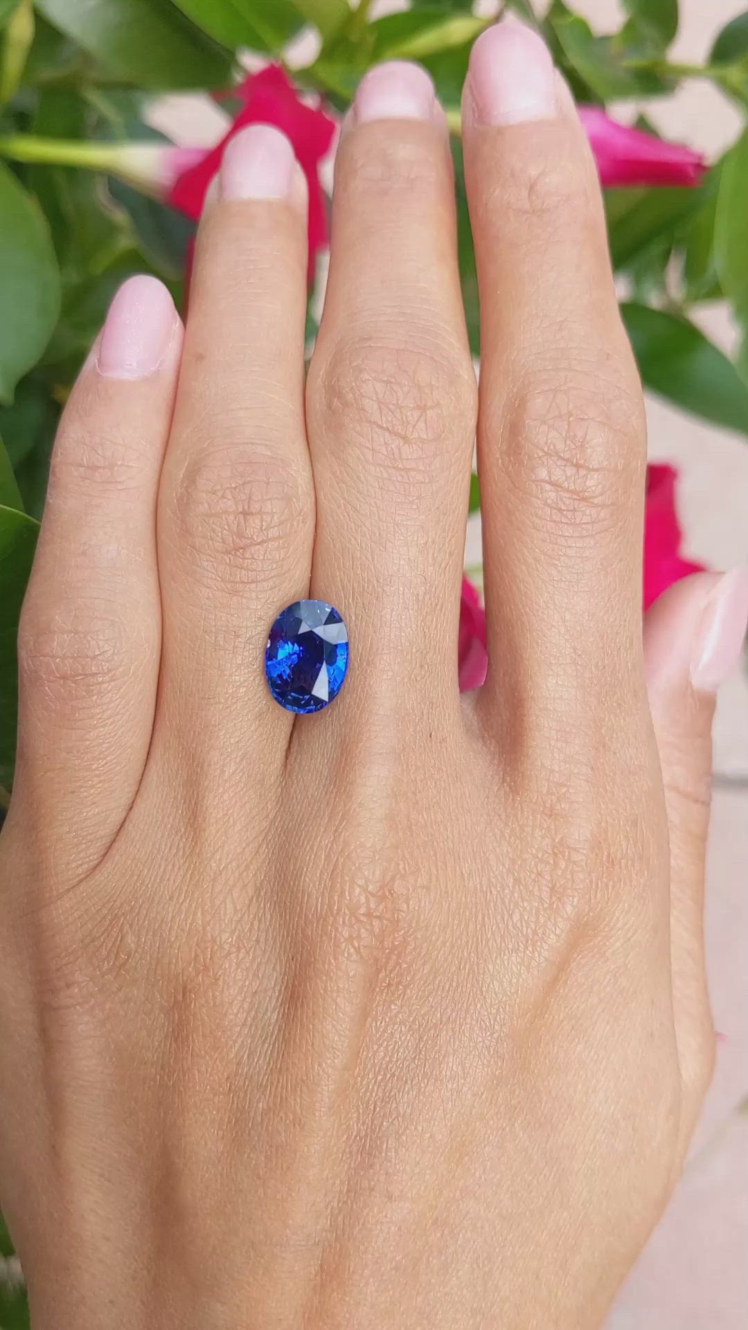 3.97 Ct. Blue Sapphire from Ceylon (Sri Lanka) Size Video