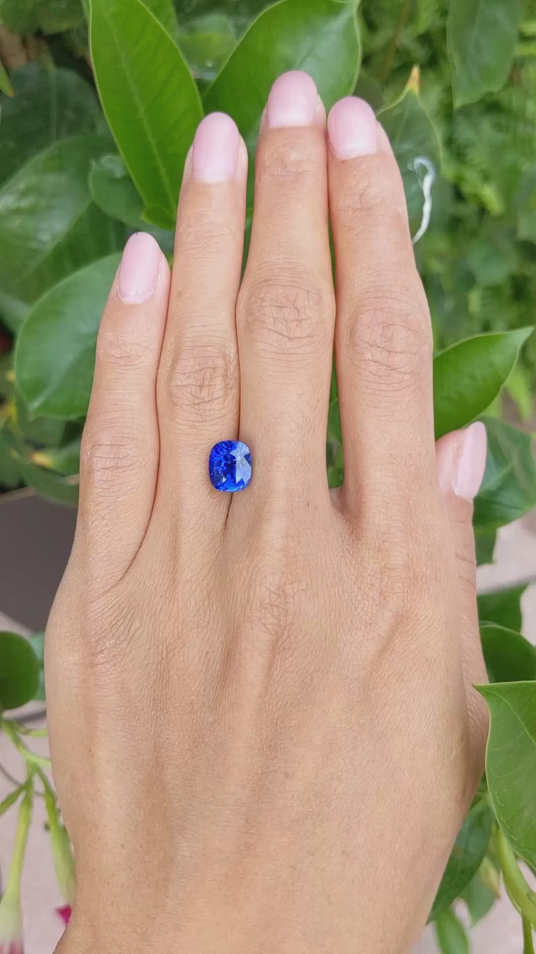 4.28 Ct. Bluish Green Sapphire from Ceylon (Sri Lanka) Size Video