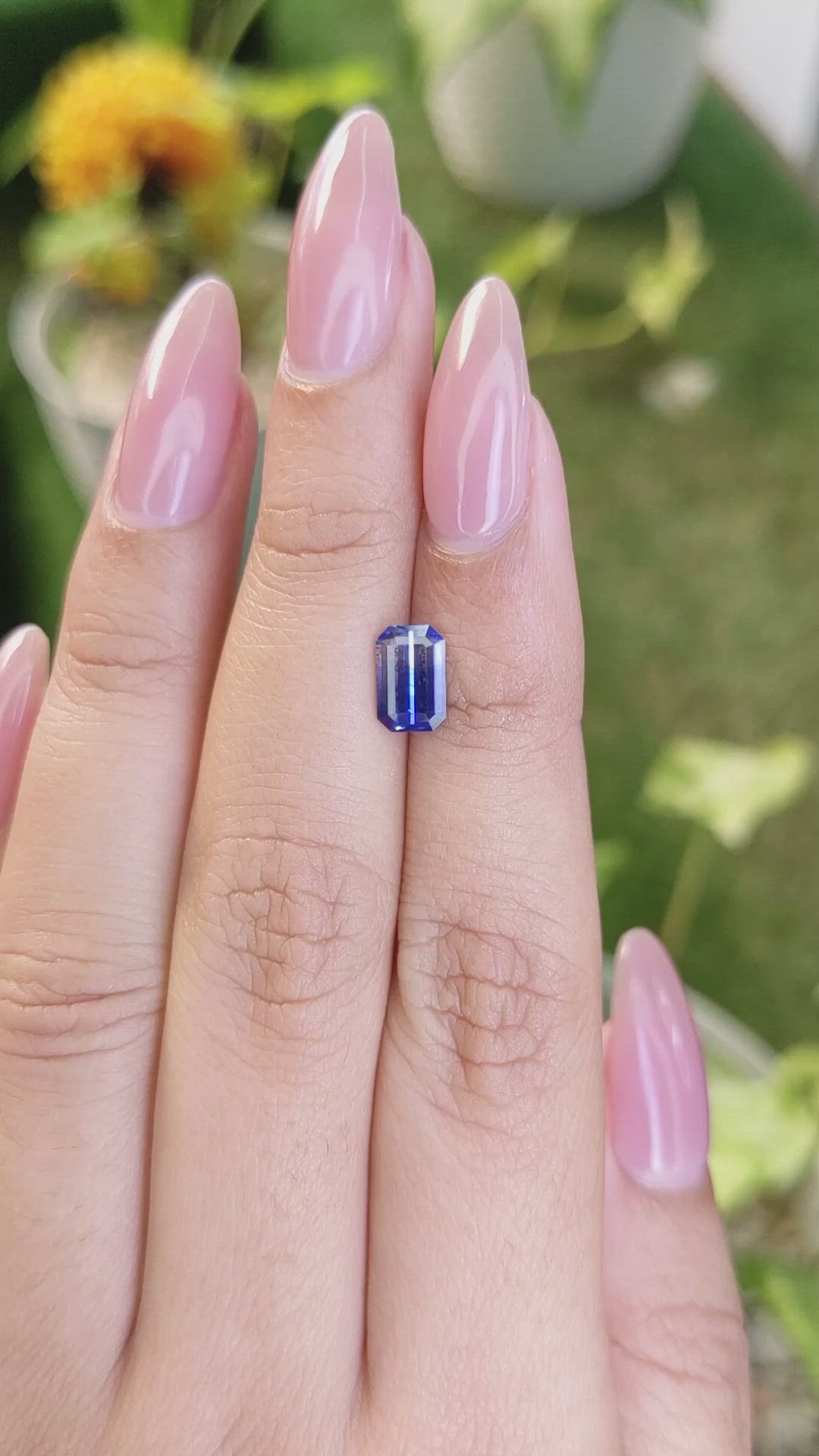 1.36 Ct. Bi Color Sapphire from Ceylon (Sri Lanka) Size Video