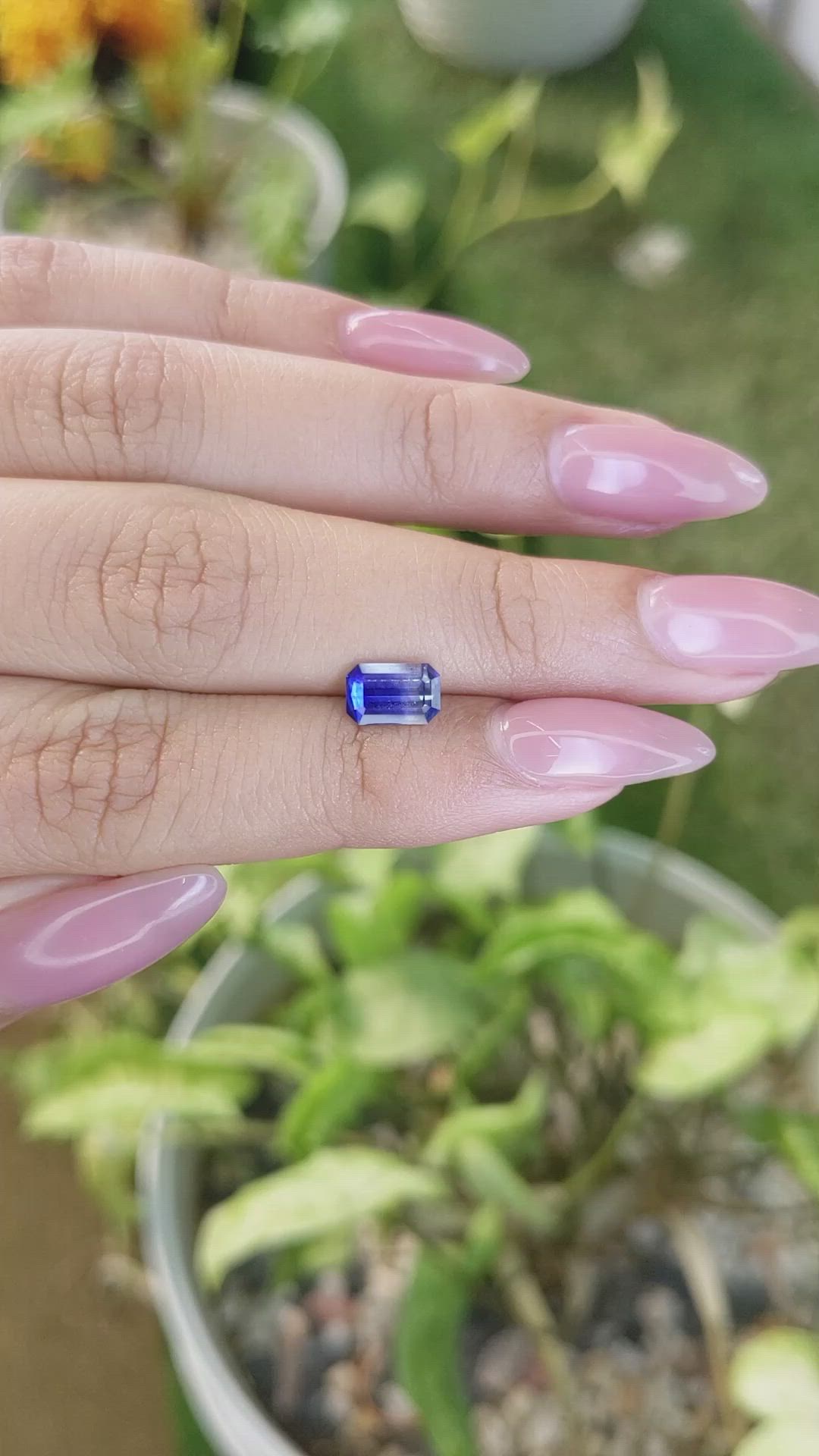 1.36 Ct. Bi Color Sapphire from Ceylon (Sri Lanka) Size Video