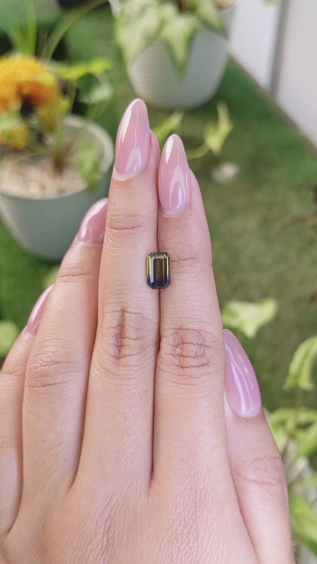 2.04 Ct. Bi Color Sapphire from Ceylon (Sri Lanka) Size Video