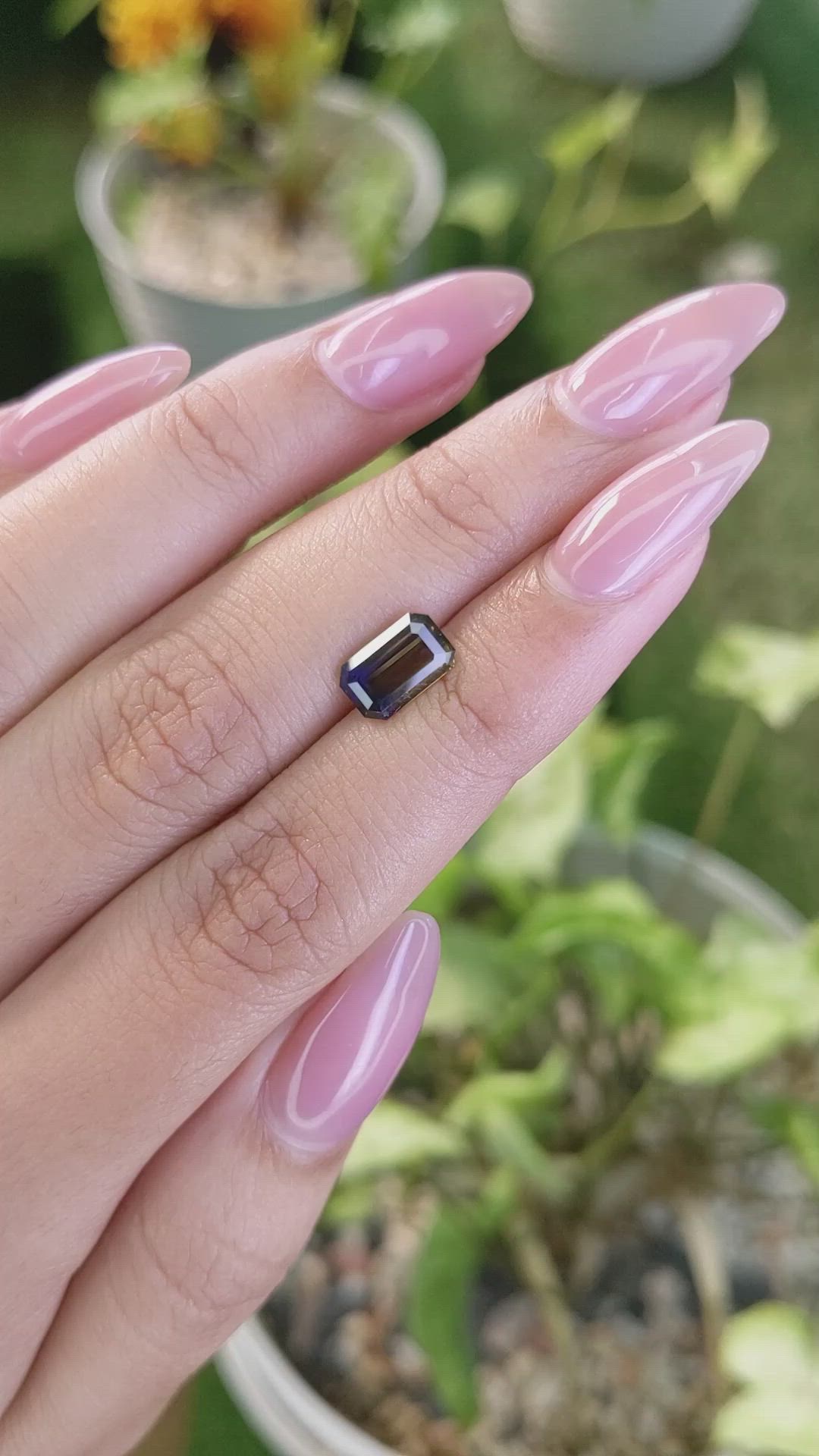 2.04 Ct. Bi Color Sapphire from Ceylon (Sri Lanka) Size Video