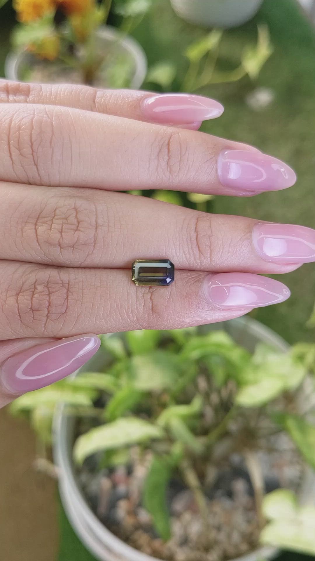 2.04 Ct. Bi Color Sapphire from Ceylon (Sri Lanka) Size Video